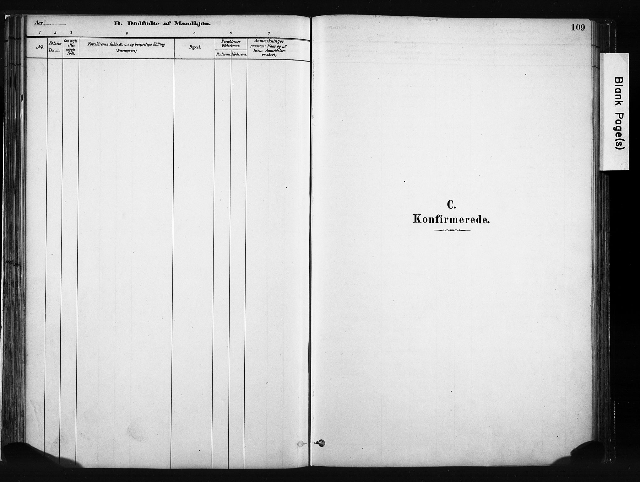 Vang prestekontor, Valdres, SAH/PREST-140/H/Ha/L0008: Parish register (official) no. 8, 1882-1910, p. 109