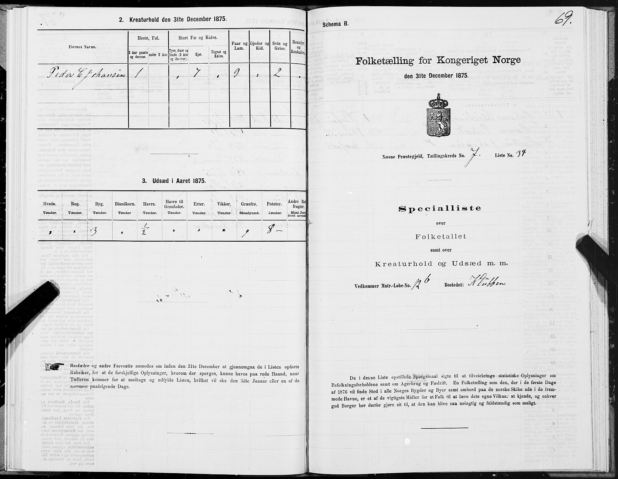 SAT, 1875 census for 1828P Nesna, 1875, p. 6069