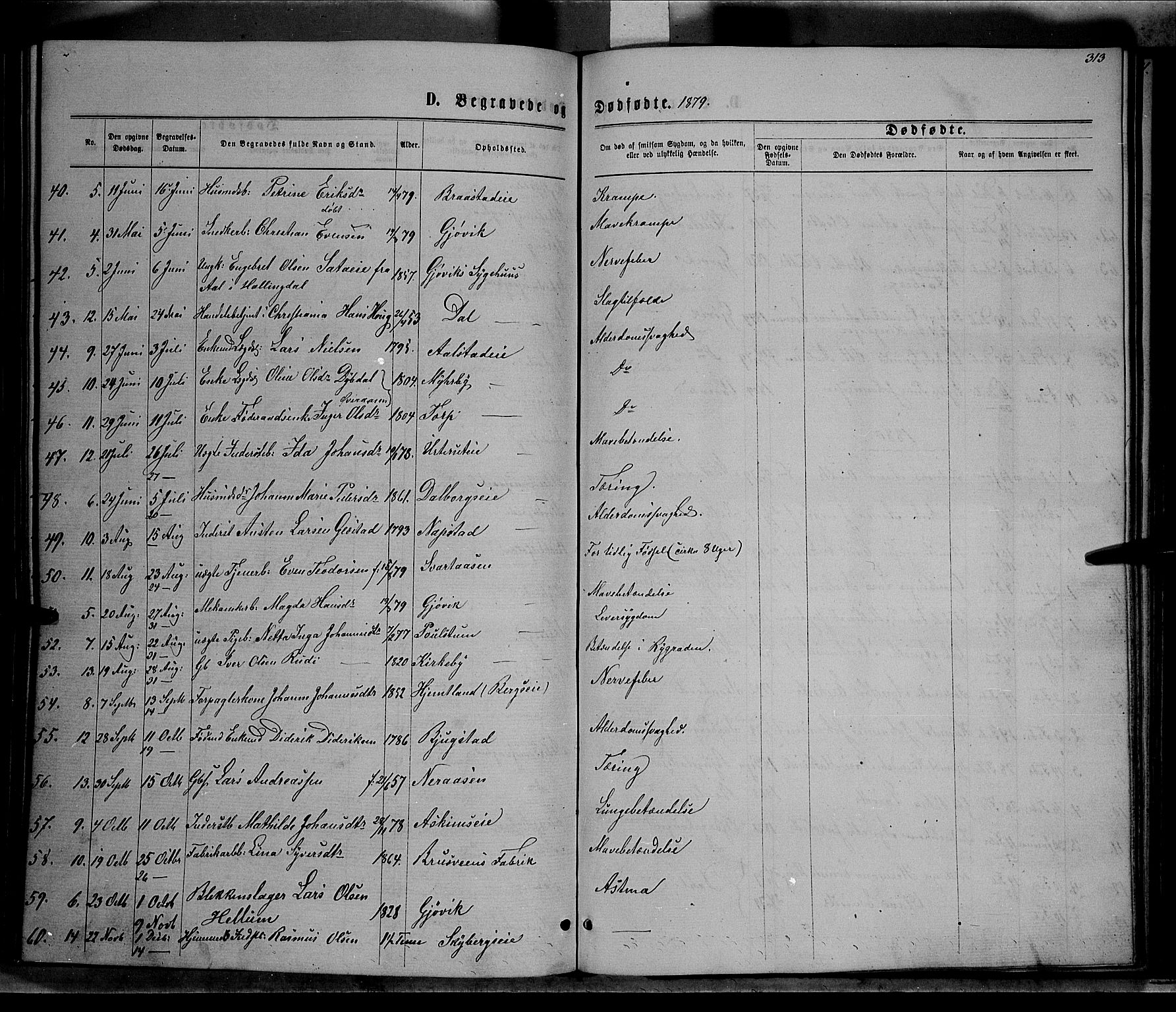 Vardal prestekontor, SAH/PREST-100/H/Ha/Hab/L0006: Parish register (copy) no. 6, 1869-1881, p. 313