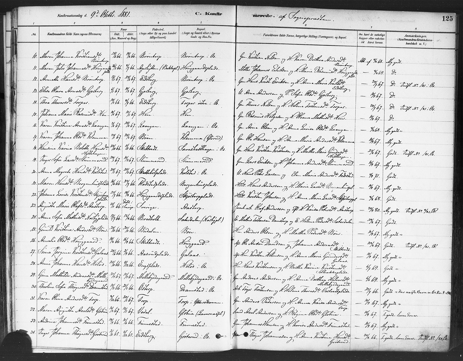 Rakkestad prestekontor Kirkebøker, AV/SAO-A-2008/F/Fa/L0012: Parish register (official) no. I 12, 1878-1893, p. 125