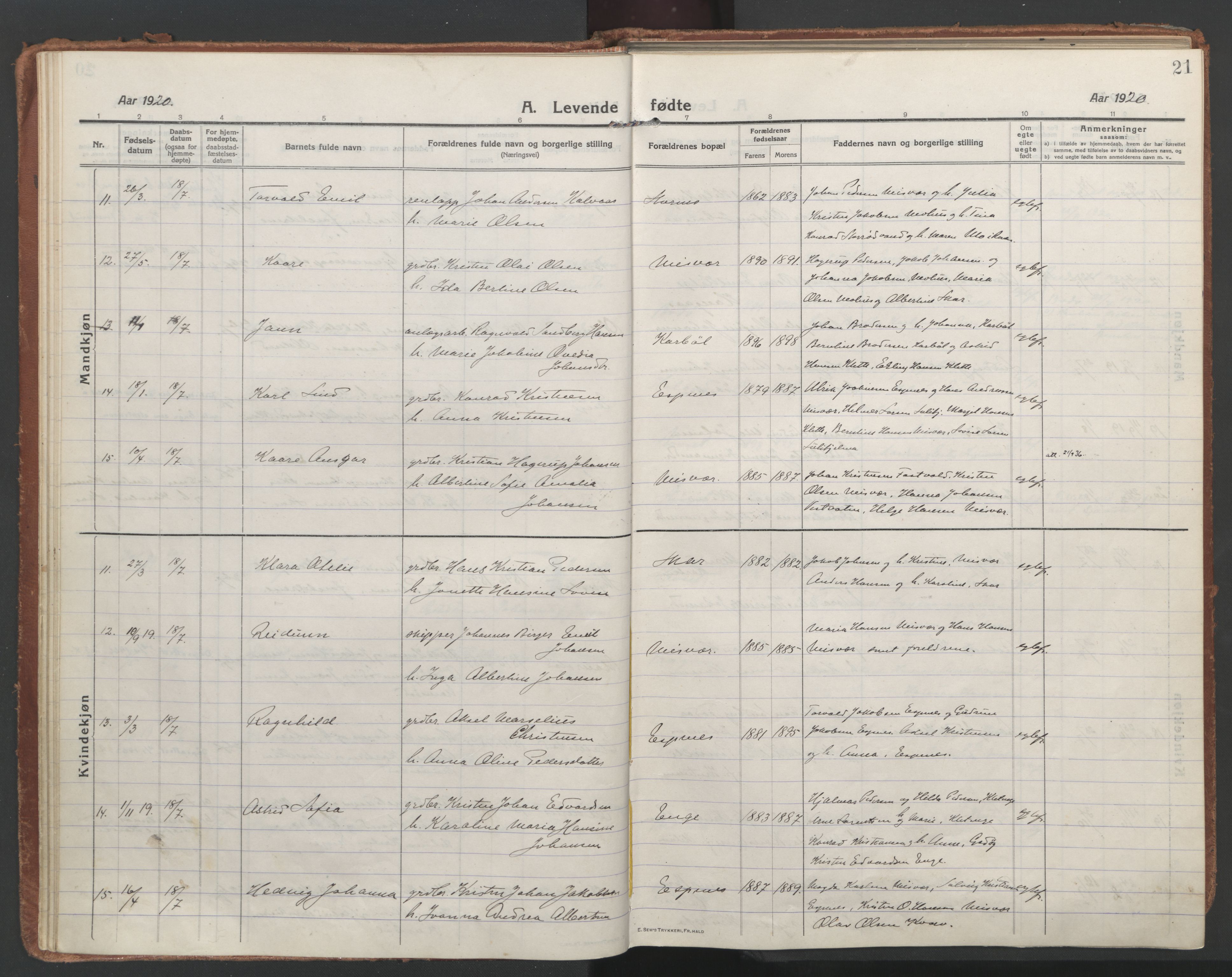 Ministerialprotokoller, klokkerbøker og fødselsregistre - Nordland, AV/SAT-A-1459/852/L0748: Parish register (official) no. 852A18, 1913-1932, p. 21