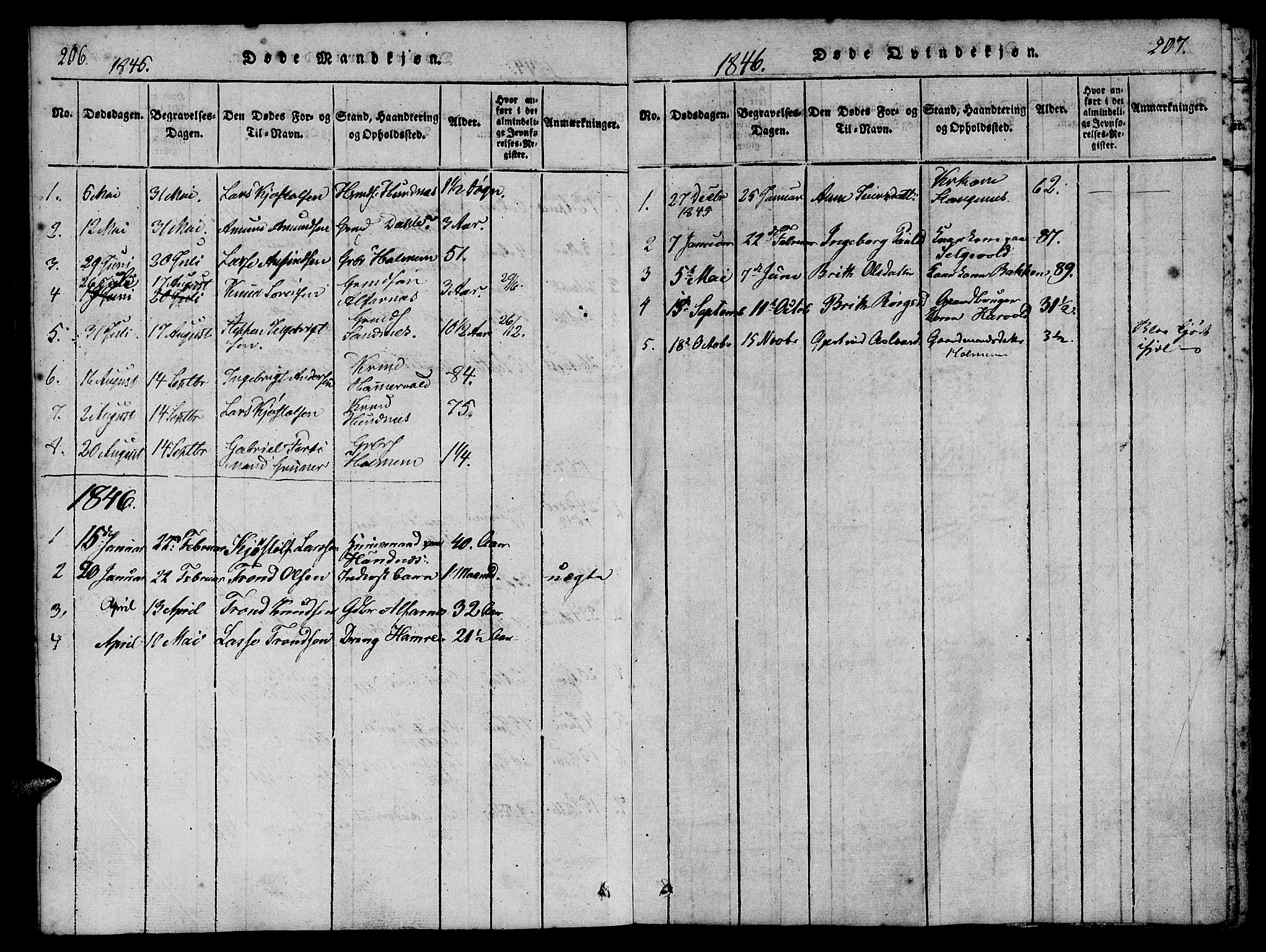 Ministerialprotokoller, klokkerbøker og fødselsregistre - Møre og Romsdal, AV/SAT-A-1454/548/L0612: Parish register (official) no. 548A01, 1818-1846, p. 206-207