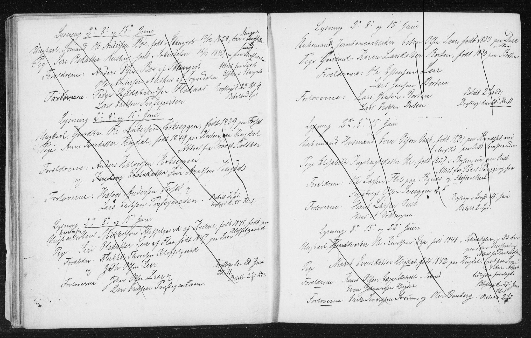 Melhus sokneprestkontor, AV/SAT-A-1141/1/I/I1/I1f/L0010: Banns register no. 691.I.1F10, 1867-1894