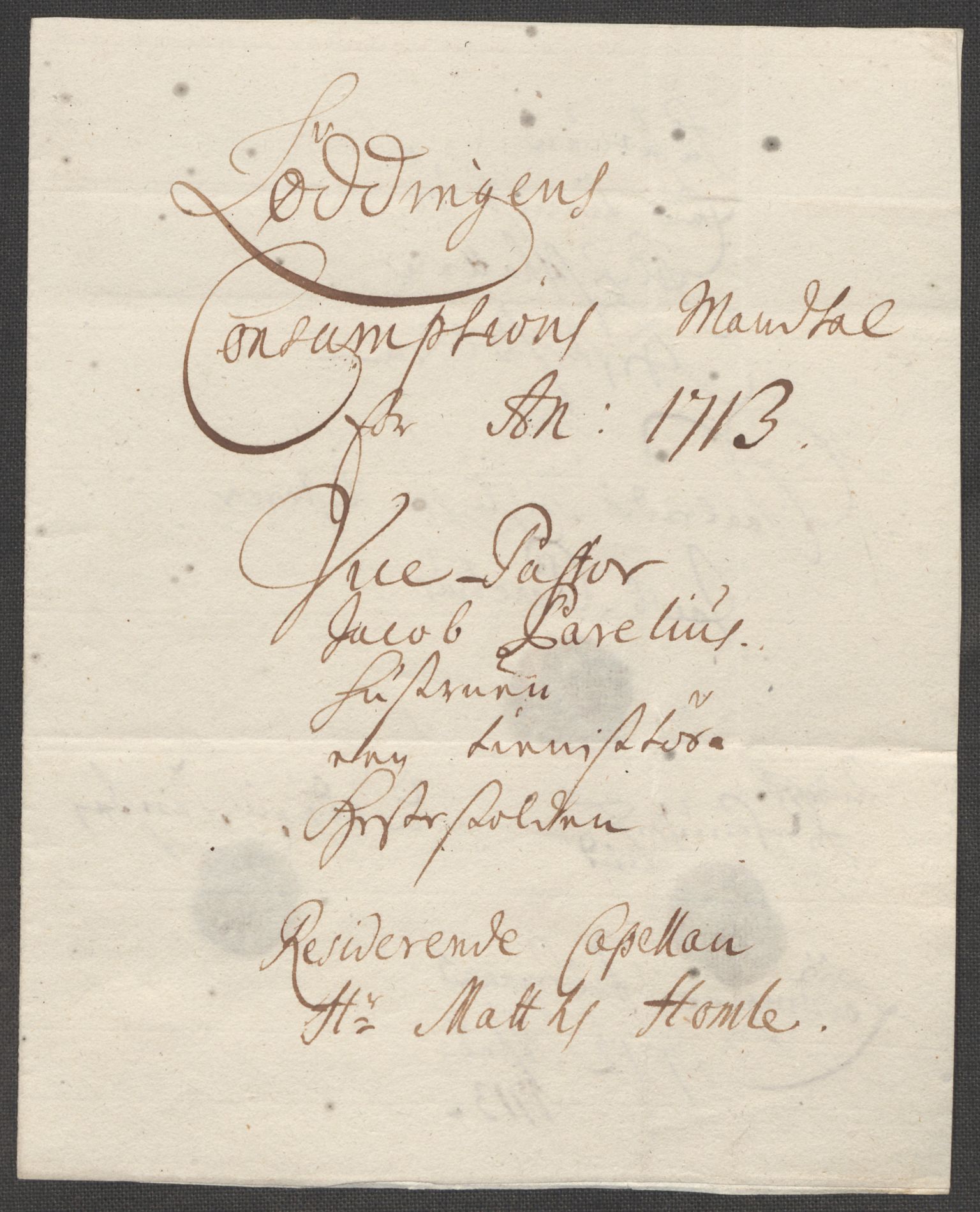 Rentekammeret inntil 1814, Reviderte regnskaper, Fogderegnskap, AV/RA-EA-4092/R66/L4583: Fogderegnskap Salten, 1713, p. 90