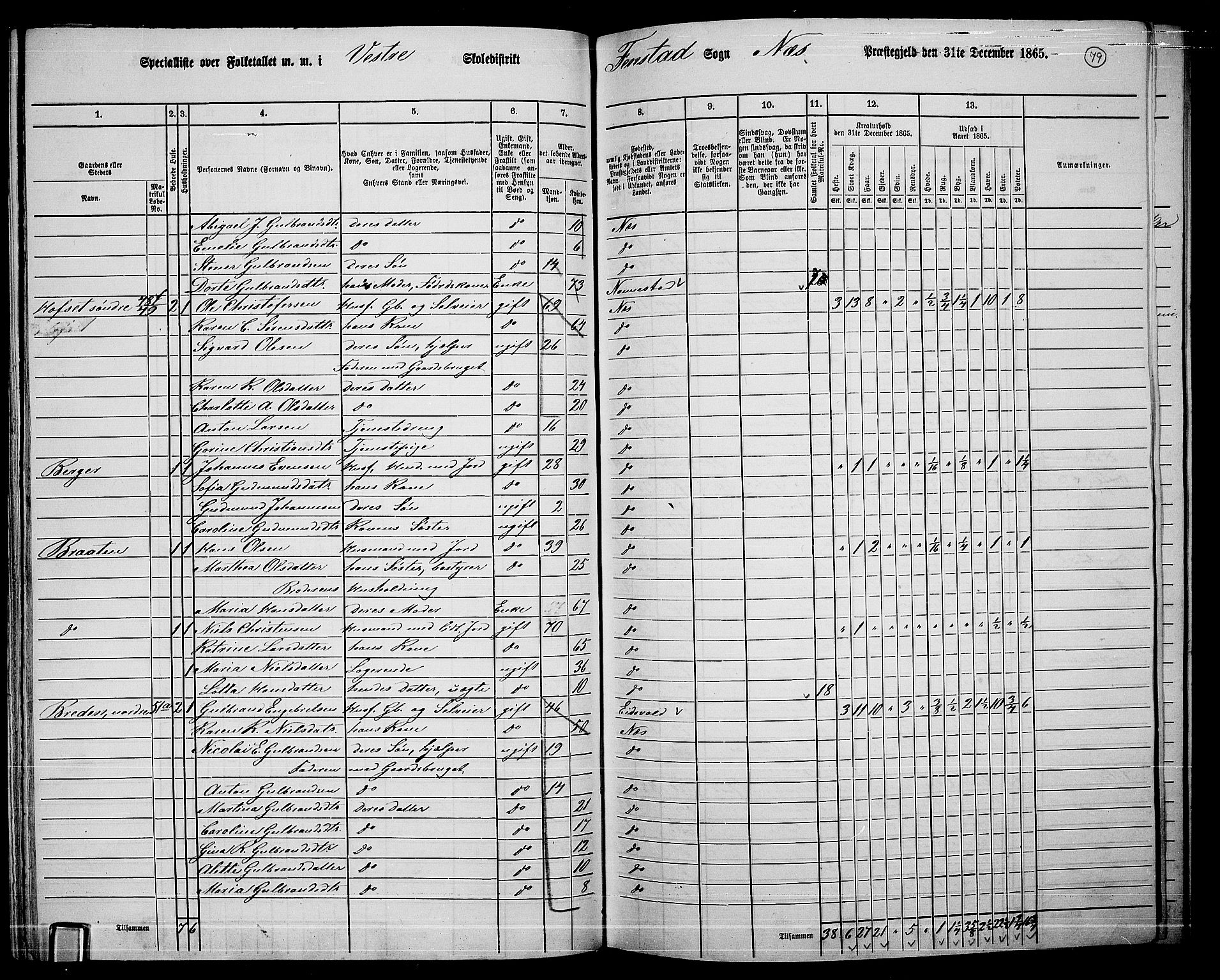 RA, 1865 census for Nes, 1865, p. 72