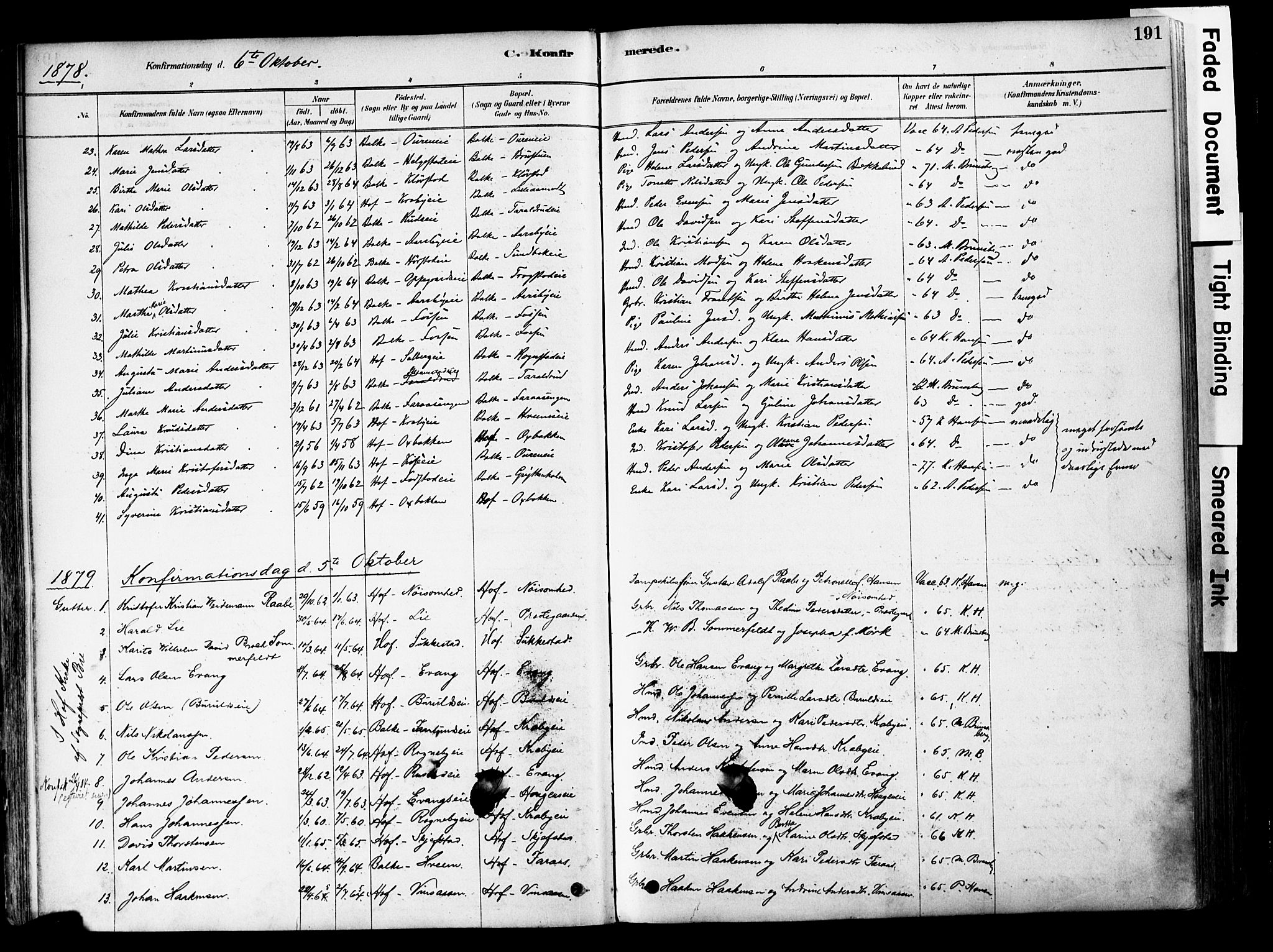 Østre Toten prestekontor, AV/SAH-PREST-104/H/Ha/Haa/L0006: Parish register (official) no. 6 /1, 1878-1896, p. 191