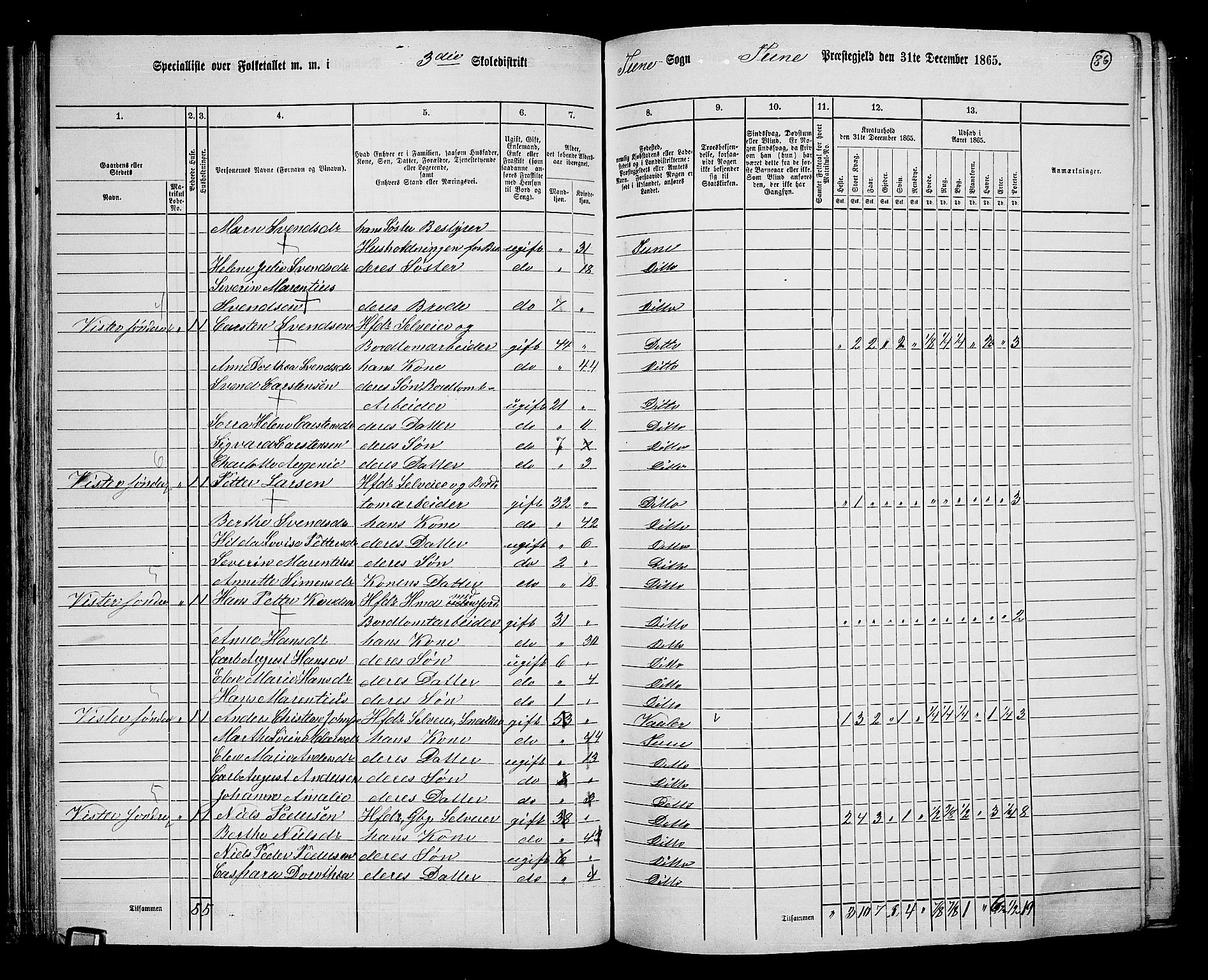 RA, 1865 census for Tune, 1865, p. 79