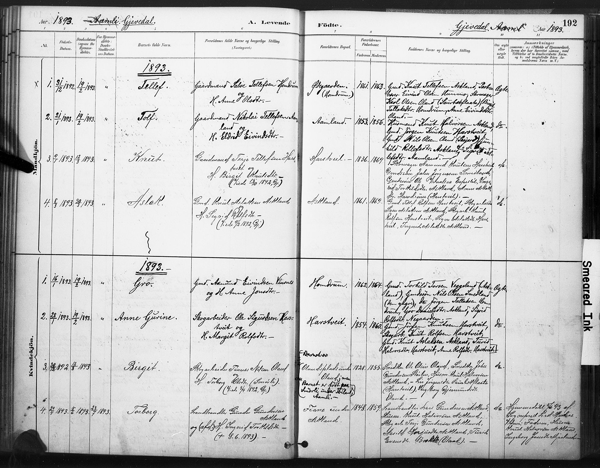 Åmli sokneprestkontor, AV/SAK-1111-0050/F/Fa/Fac/L0010: Parish register (official) no. A 10 /2, 1885-1899, p. 192