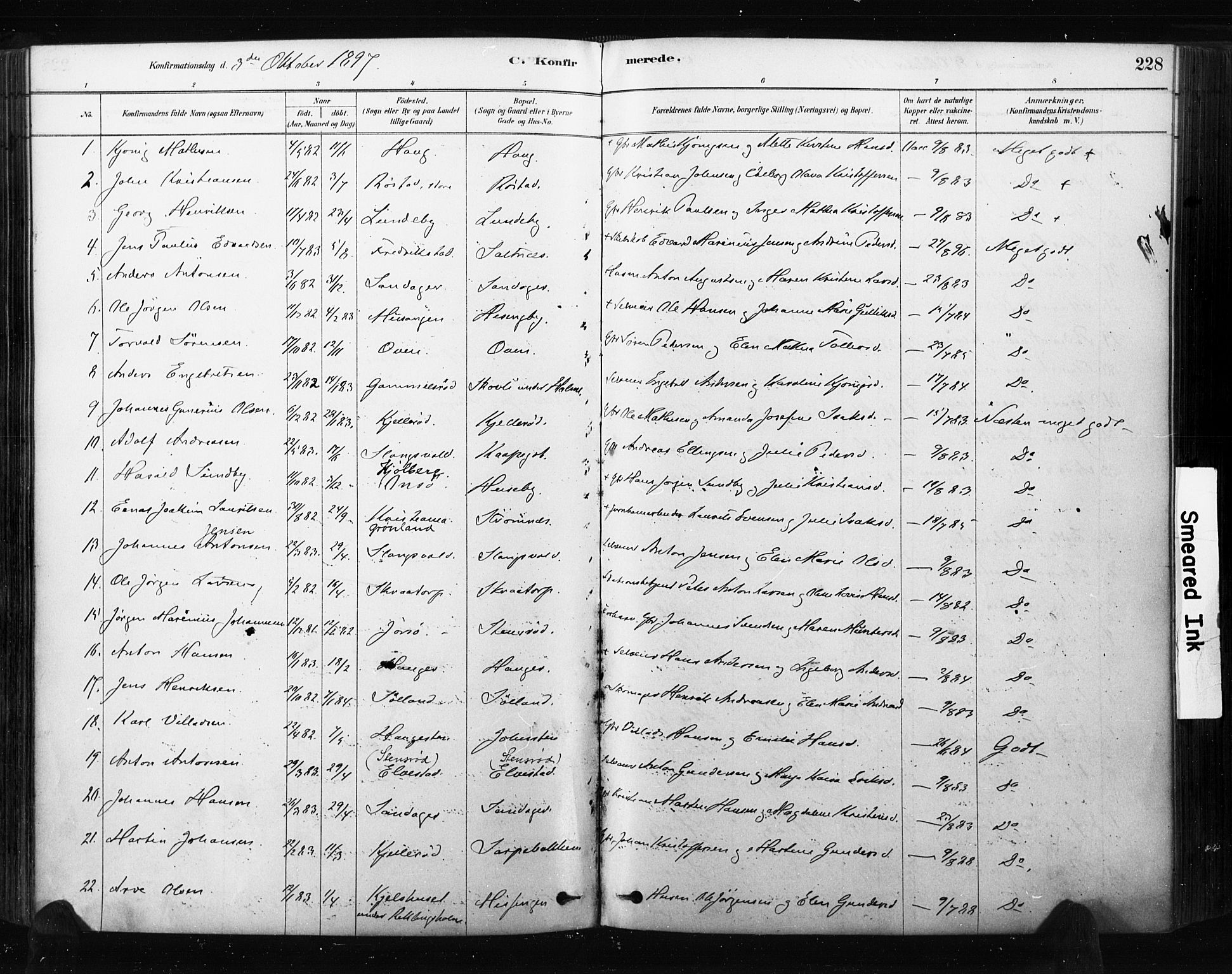 Råde prestekontor kirkebøker, AV/SAO-A-2009/F/Fa/L0007: Parish register (official) no. 7, 1878-1902, p. 228