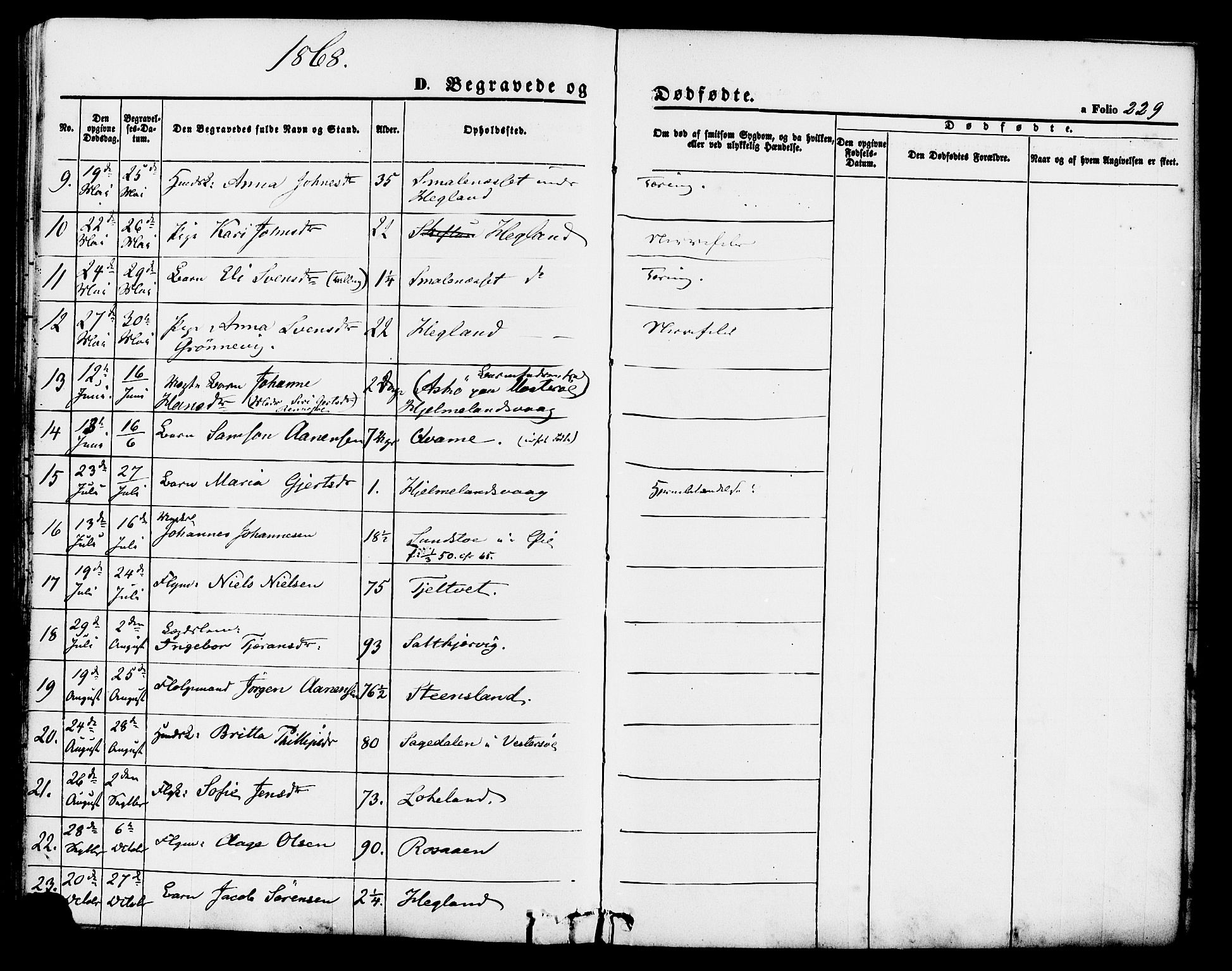 Hjelmeland sokneprestkontor, AV/SAST-A-101843/01/IV/L0011: Parish register (official) no. A 11, 1861-1878, p. 229