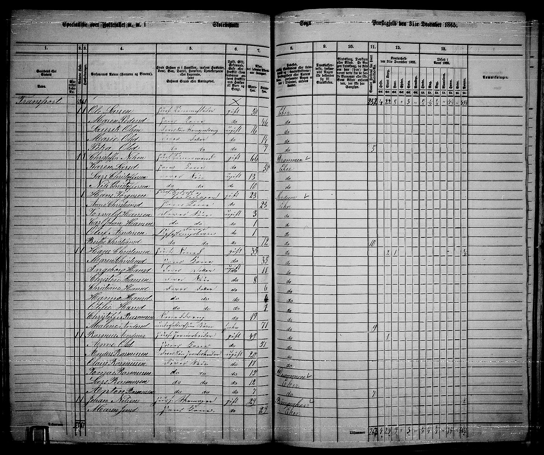 RA, 1865 census for Eiker, 1865, p. 206