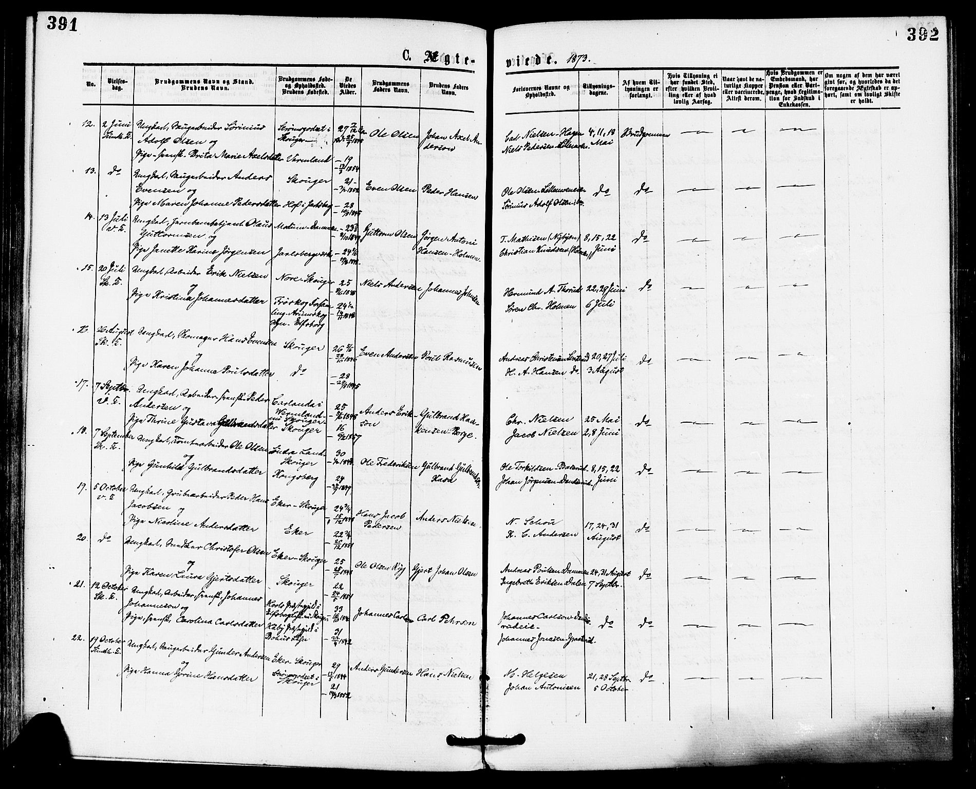 Skoger kirkebøker, AV/SAKO-A-59/F/Fa/L0005: Parish register (official) no. I 5, 1873-1884, p. 391-392