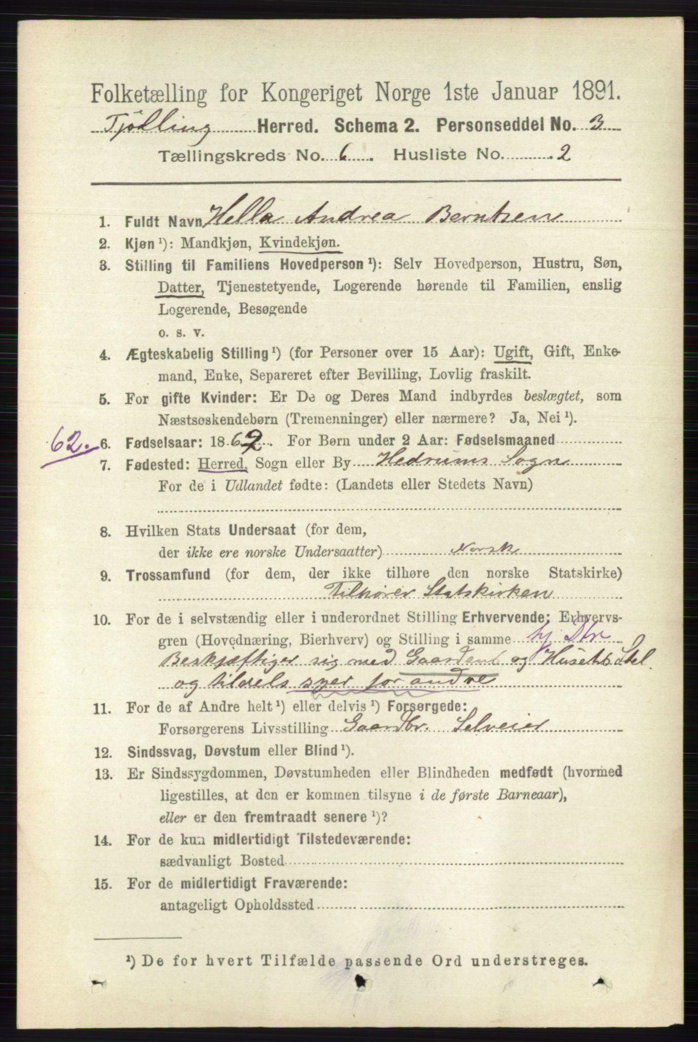 RA, 1891 census for 0725 Tjølling, 1891, p. 2909