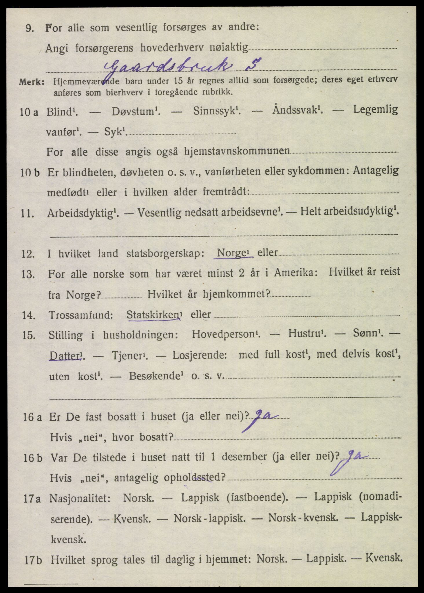 SAT, 1920 census for Vik, 1920, p. 5238