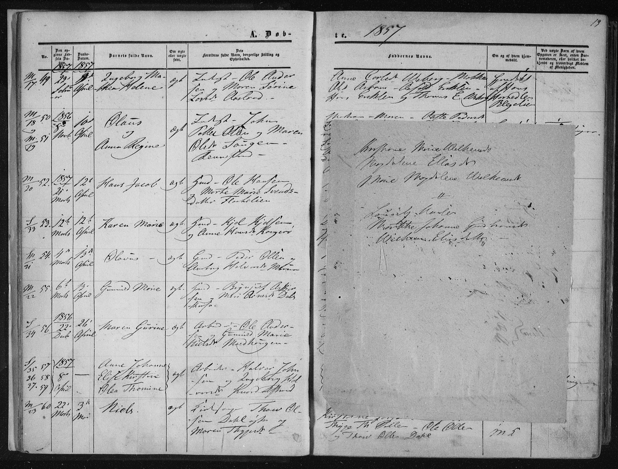 Solum kirkebøker, SAKO/A-306/F/Fa/L0007: Parish register (official) no. I 7, 1856-1864, p. 19
