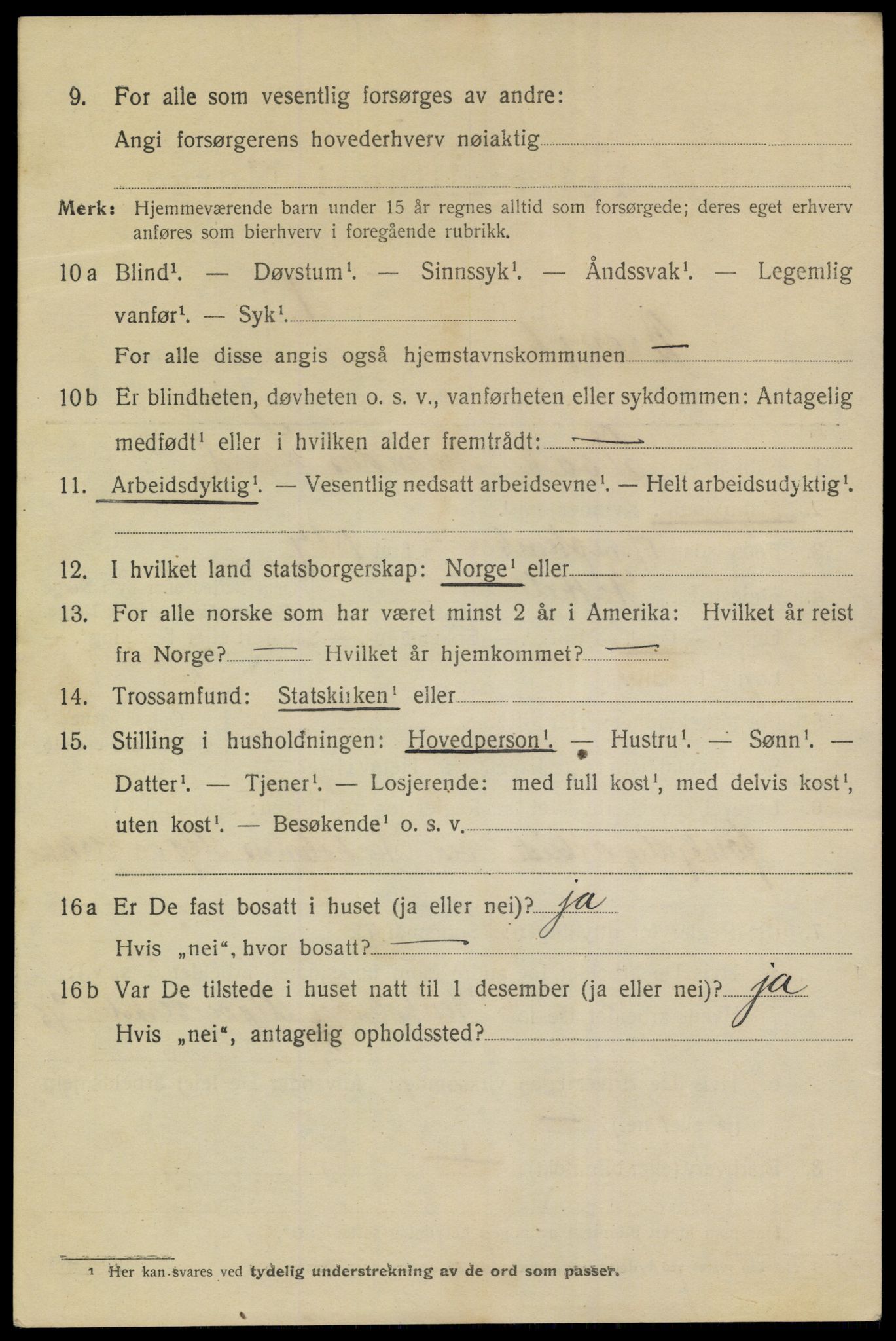 SAKO, 1920 census for Brevik, 1920, p. 4651