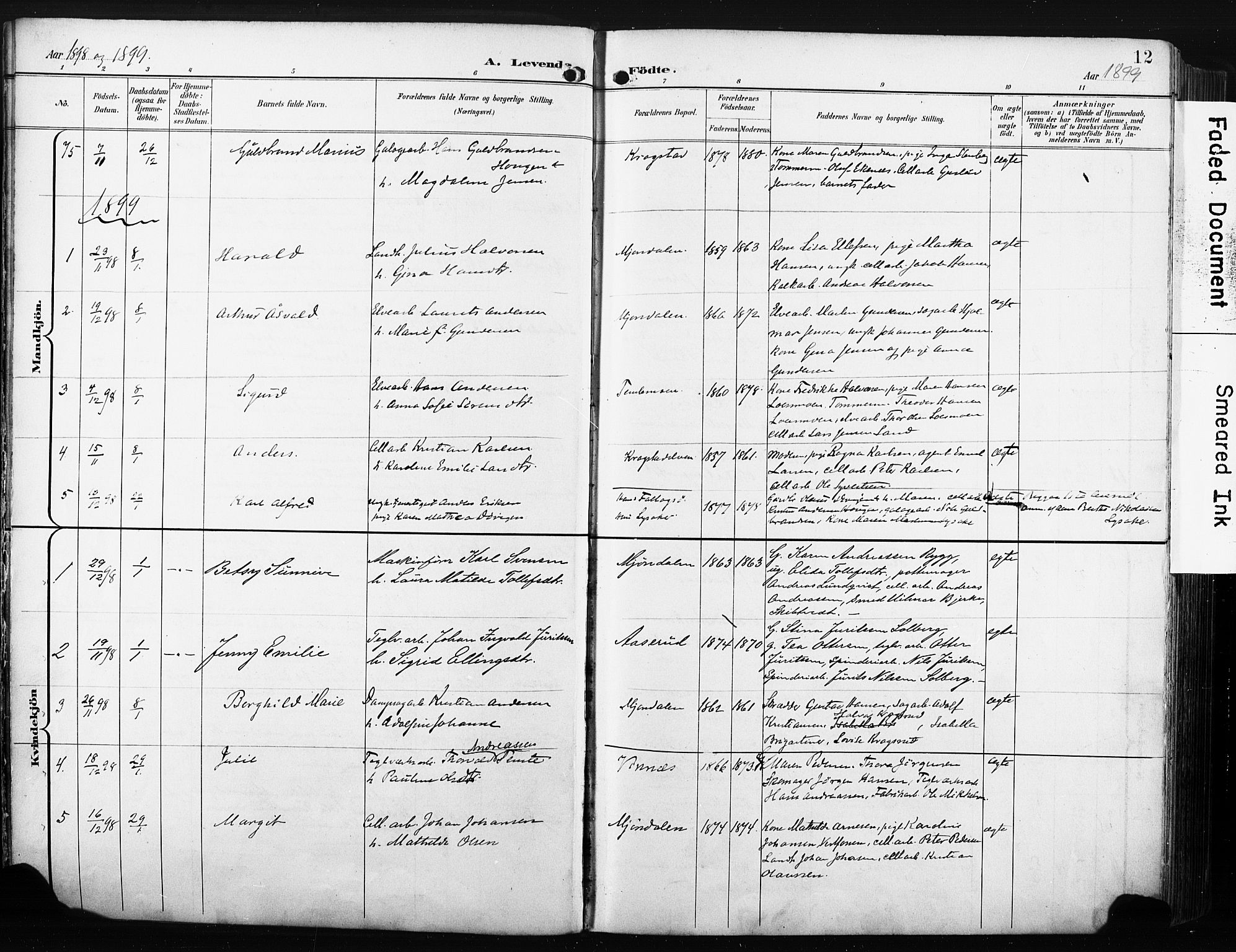 Nedre Eiker kirkebøker, AV/SAKO-A-612/F/Fa/L0005: Parish register (official) no. 5, 1898-1905, p. 12