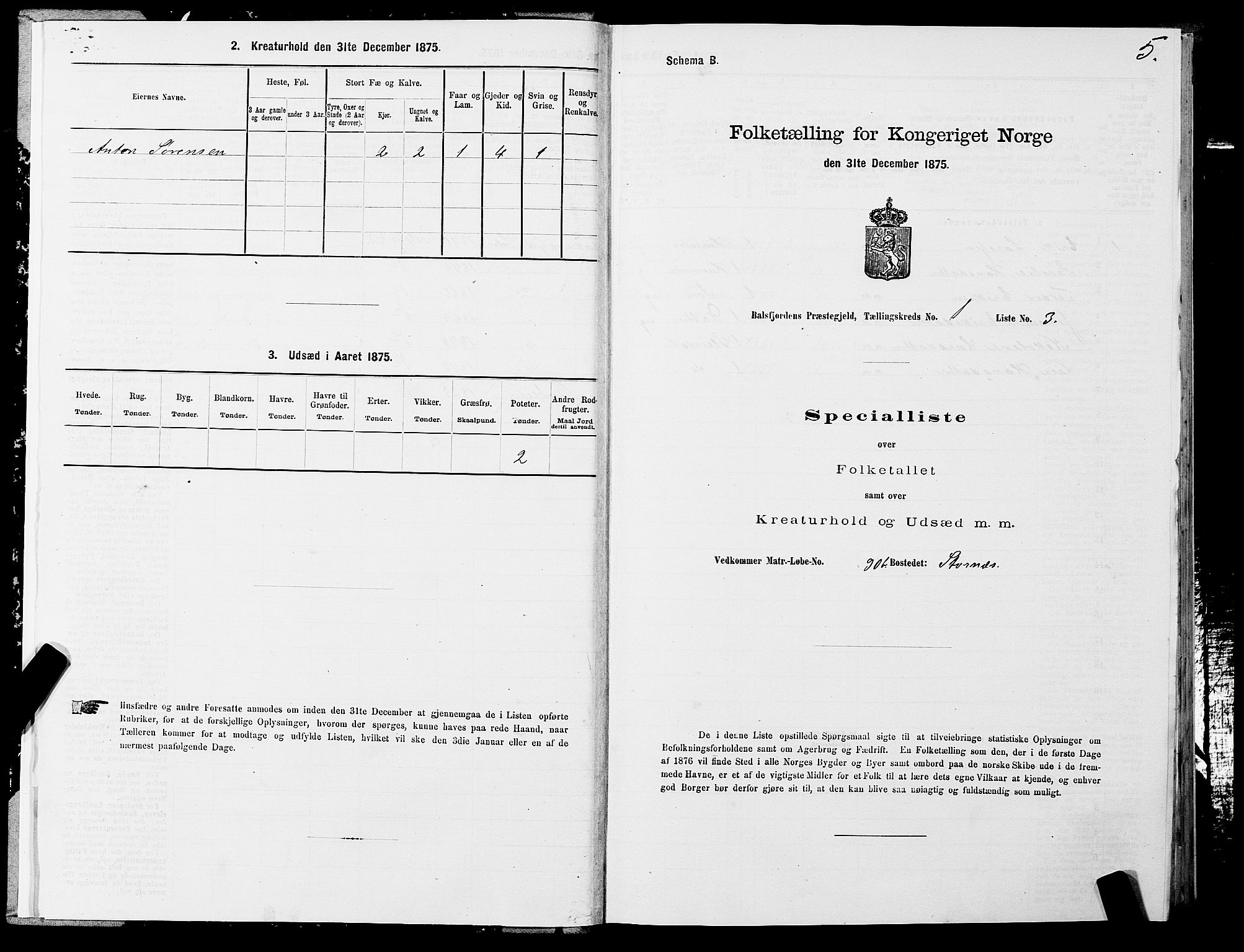 SATØ, 1875 census for 1933P Balsfjord, 1875, p. 1005