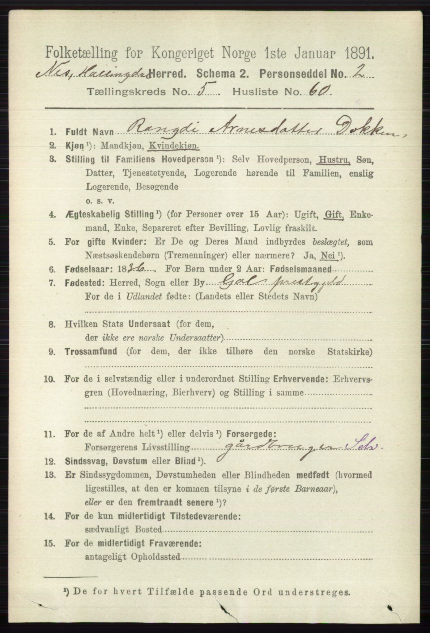 RA, 1891 census for 0616 Nes, 1891, p. 2941