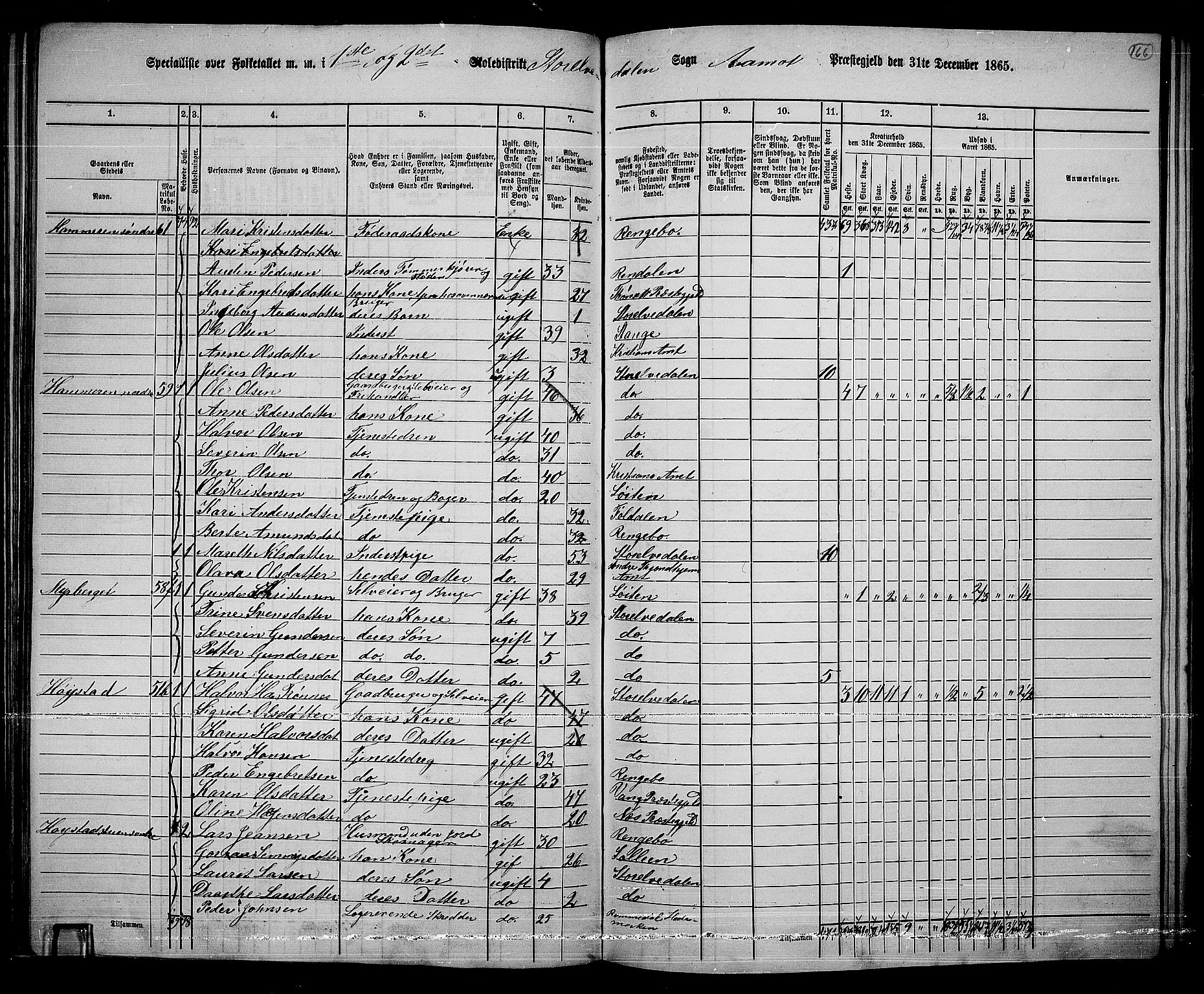 RA, 1865 census for Åmot, 1865, p. 145