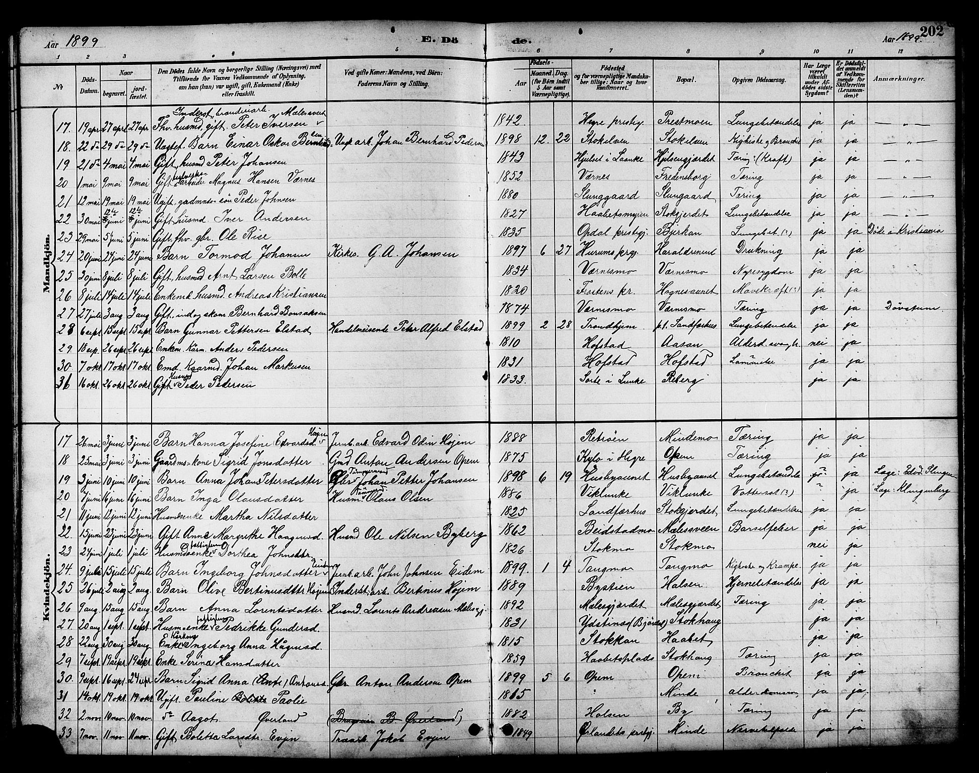 Ministerialprotokoller, klokkerbøker og fødselsregistre - Nord-Trøndelag, SAT/A-1458/709/L0087: Parish register (copy) no. 709C01, 1892-1913, p. 202