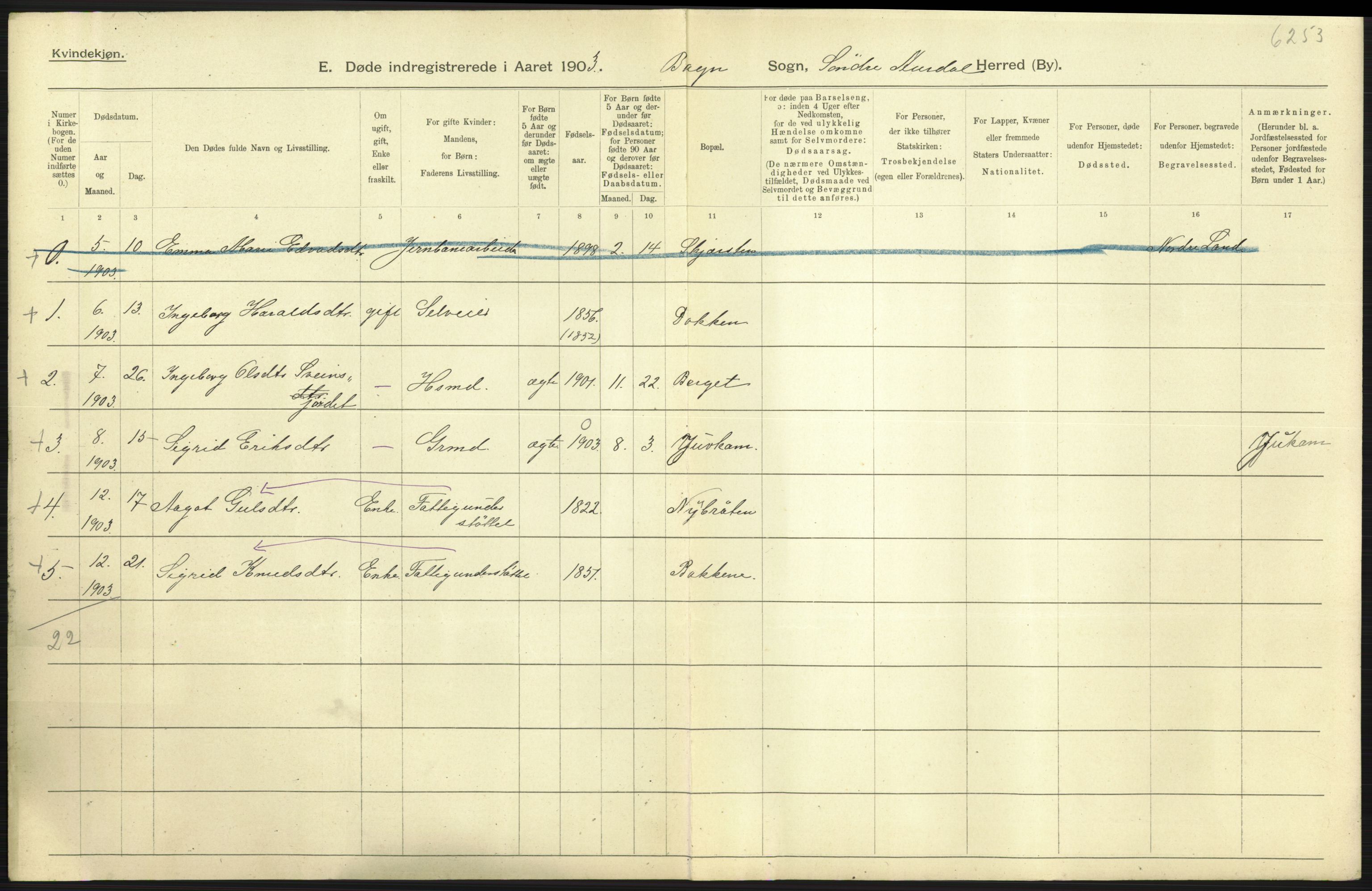 Statistisk sentralbyrå, Sosiodemografiske emner, Befolkning, AV/RA-S-2228/D/Df/Dfa/Dfaa/L0006: Kristians amt: Fødte, gifte, døde, 1903, p. 615