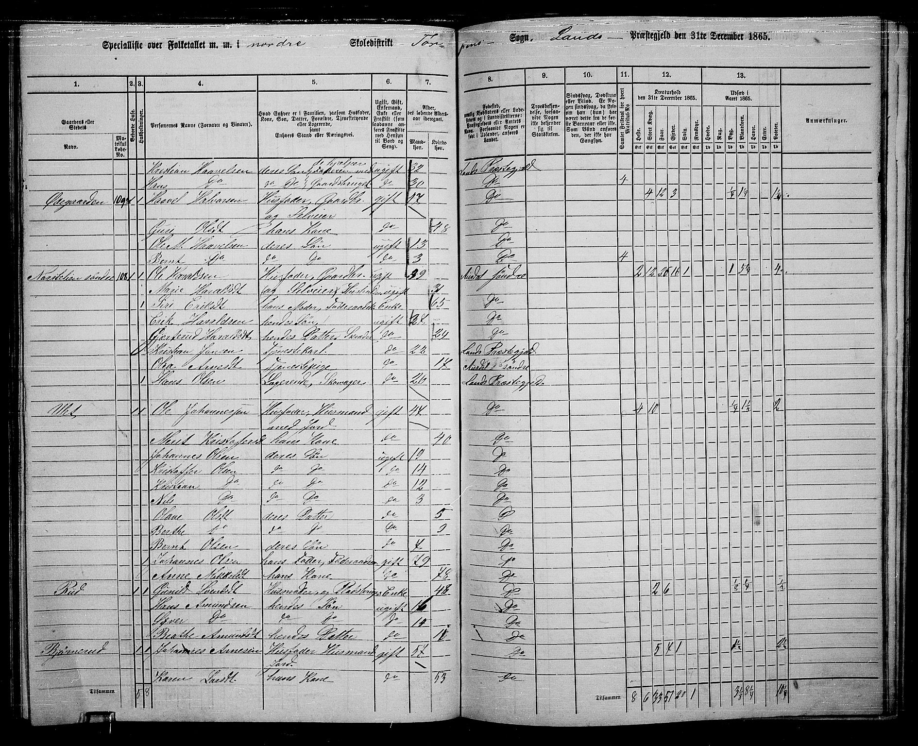 RA, 1865 census for Land, 1865, p. 165