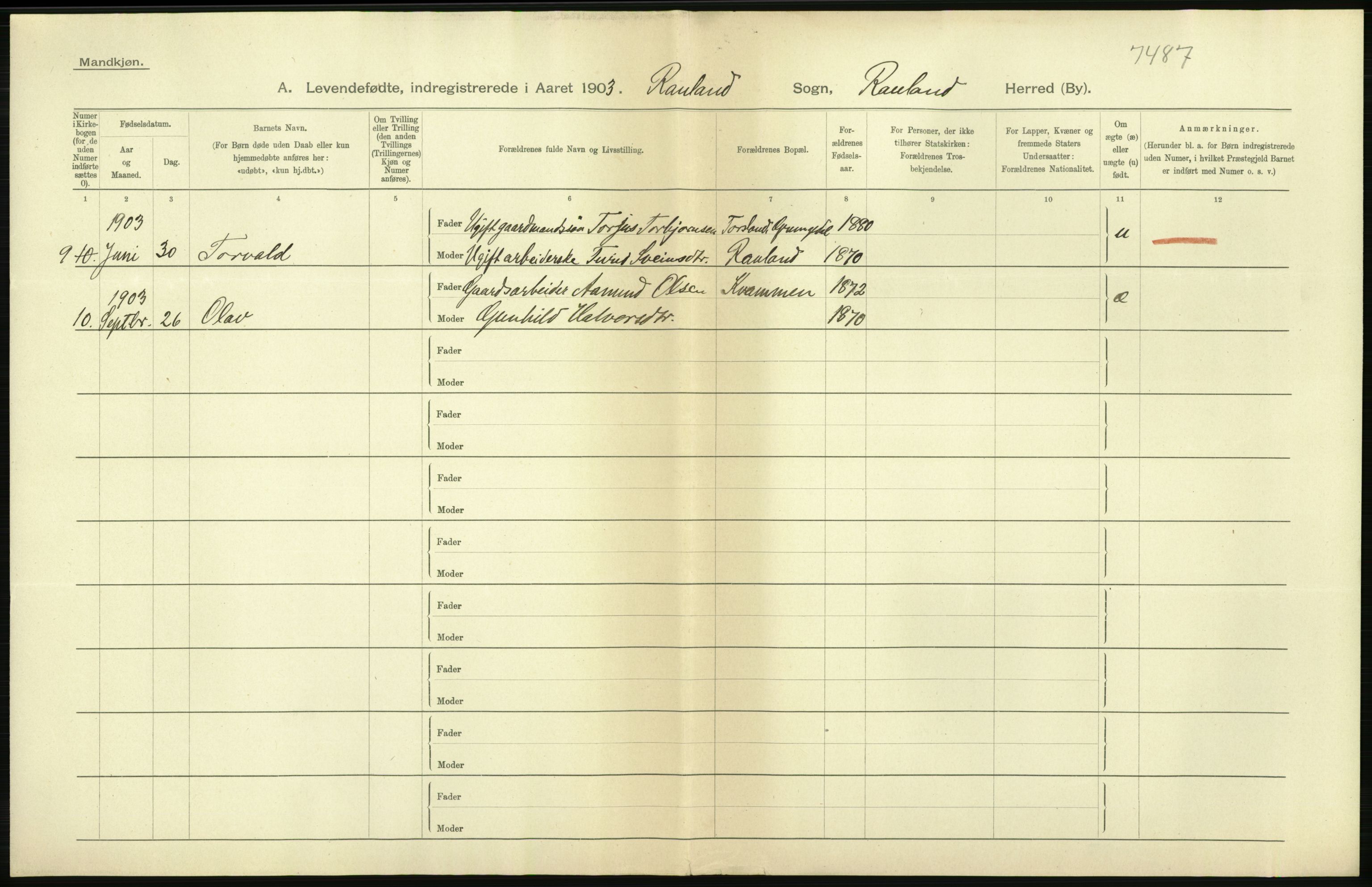 Statistisk sentralbyrå, Sosiodemografiske emner, Befolkning, AV/RA-S-2228/D/Df/Dfa/Dfaa/L0009: Bratsberg amt: Fødte, gifte, døde, 1903, p. 6