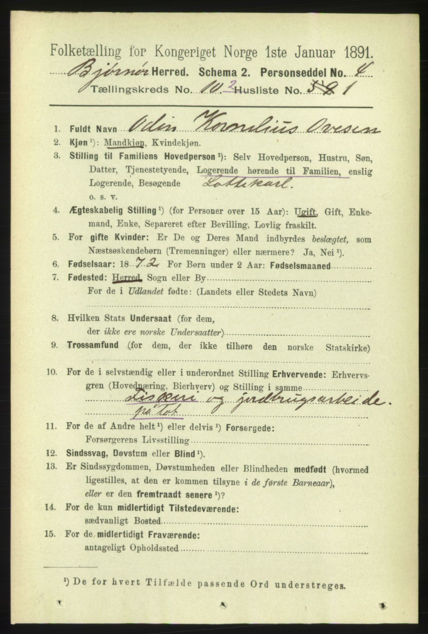 RA, 1891 census for 1632 Bjørnør, 1891, p. 4542