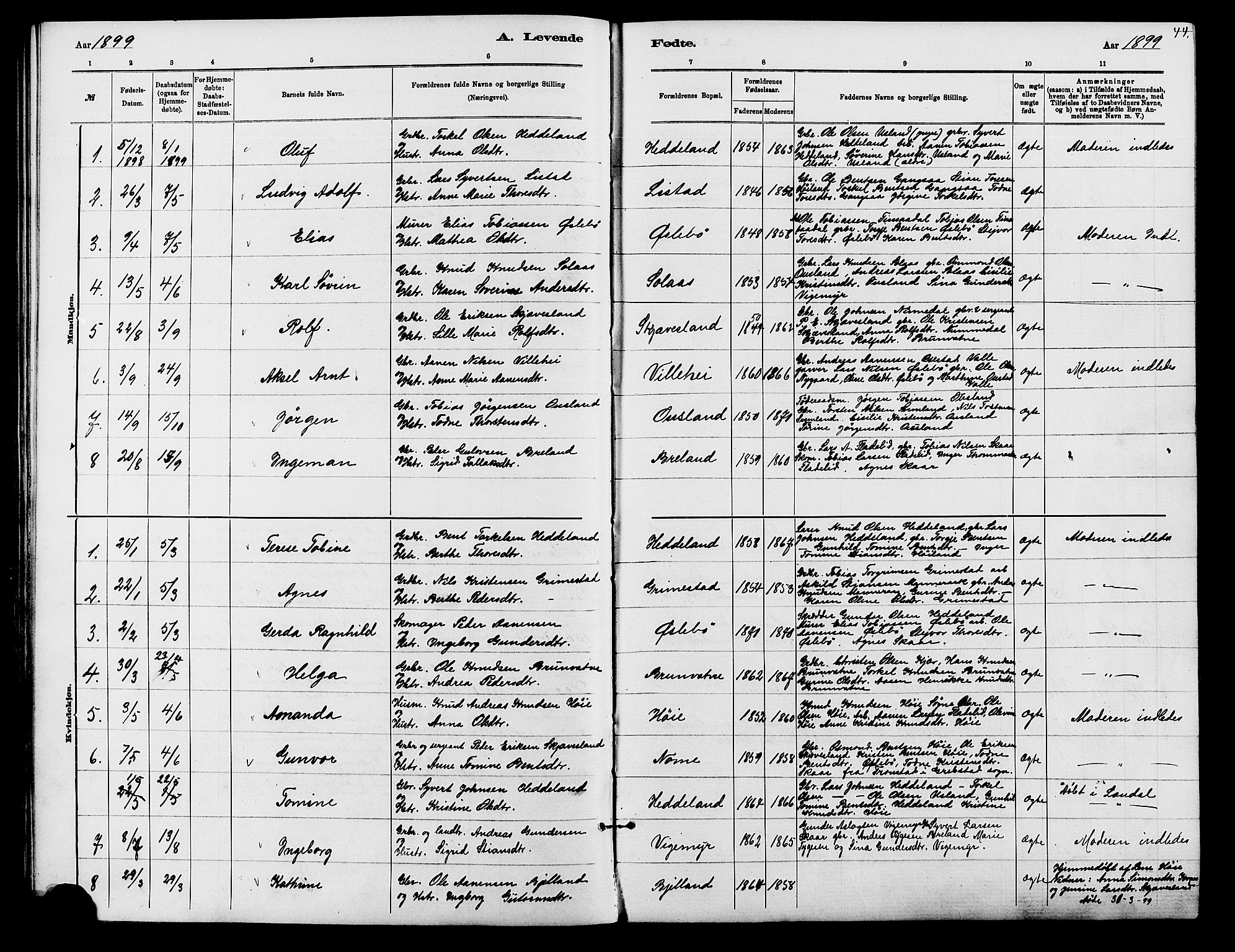 Holum sokneprestkontor, SAK/1111-0022/F/Fb/Fbc/L0003: Parish register (copy) no. B 3, 1882-1908, p. 44