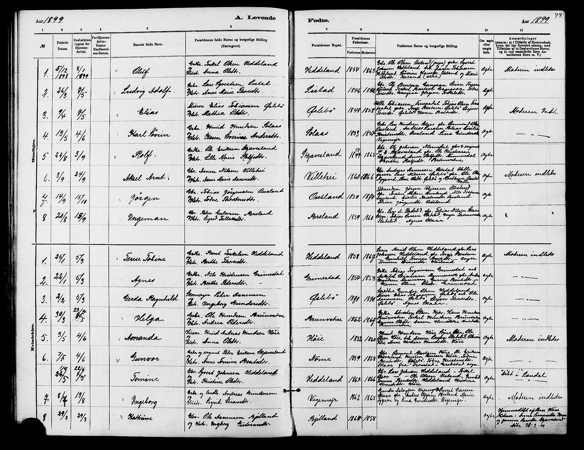 Holum sokneprestkontor, AV/SAK-1111-0022/F/Fb/Fbc/L0003: Parish register (copy) no. B 3, 1882-1908, p. 44