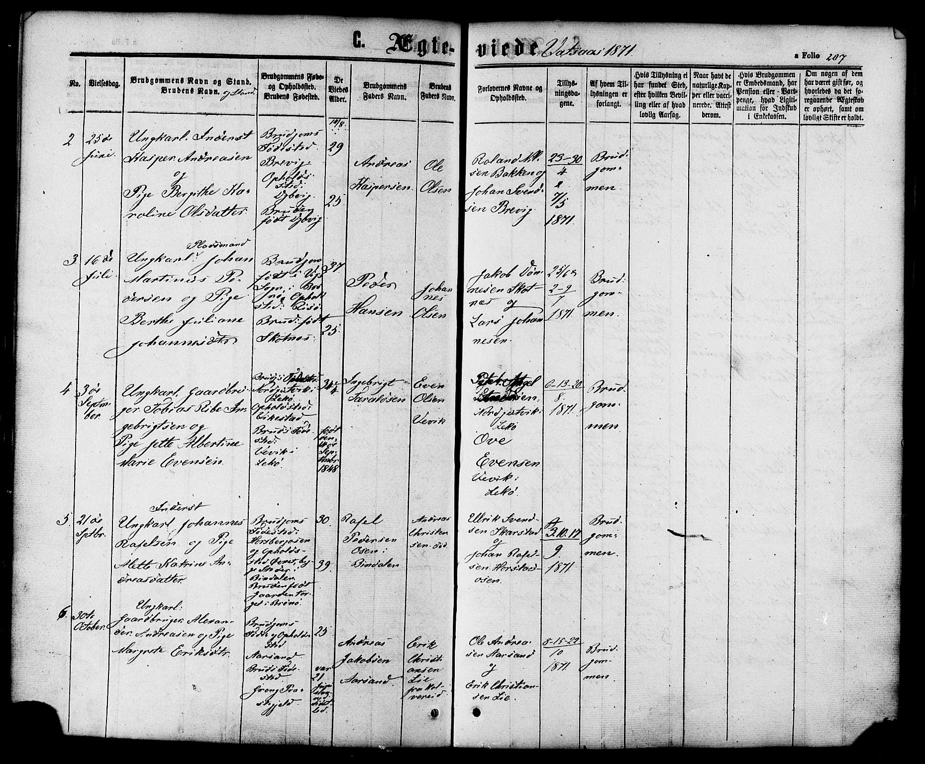 Ministerialprotokoller, klokkerbøker og fødselsregistre - Nordland, AV/SAT-A-1459/810/L0146: Parish register (official) no. 810A08 /1, 1862-1874, p. 207