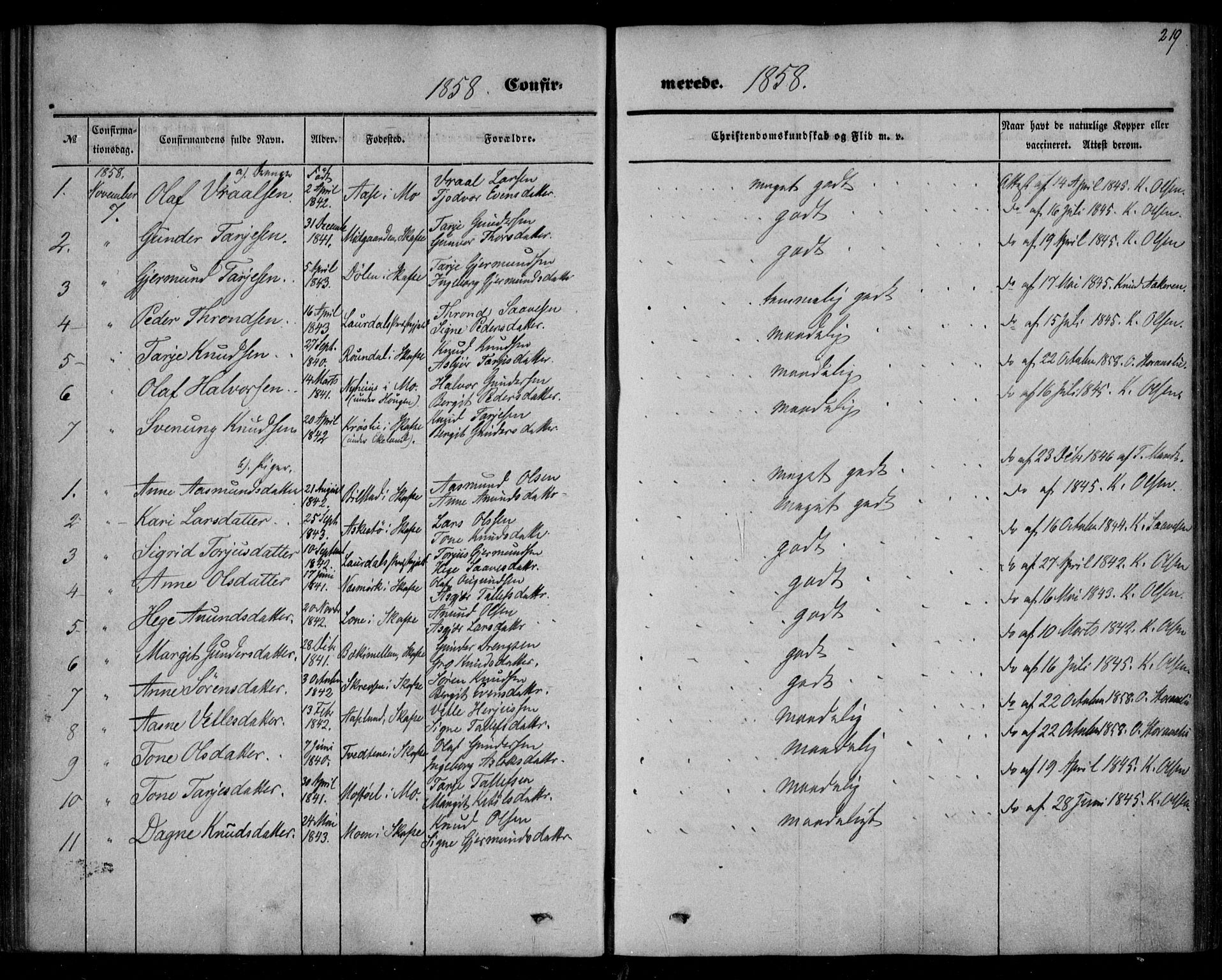 Mo kirkebøker, SAKO/A-286/F/Fa/L0005: Parish register (official) no. I 5, 1844-1864, p. 219
