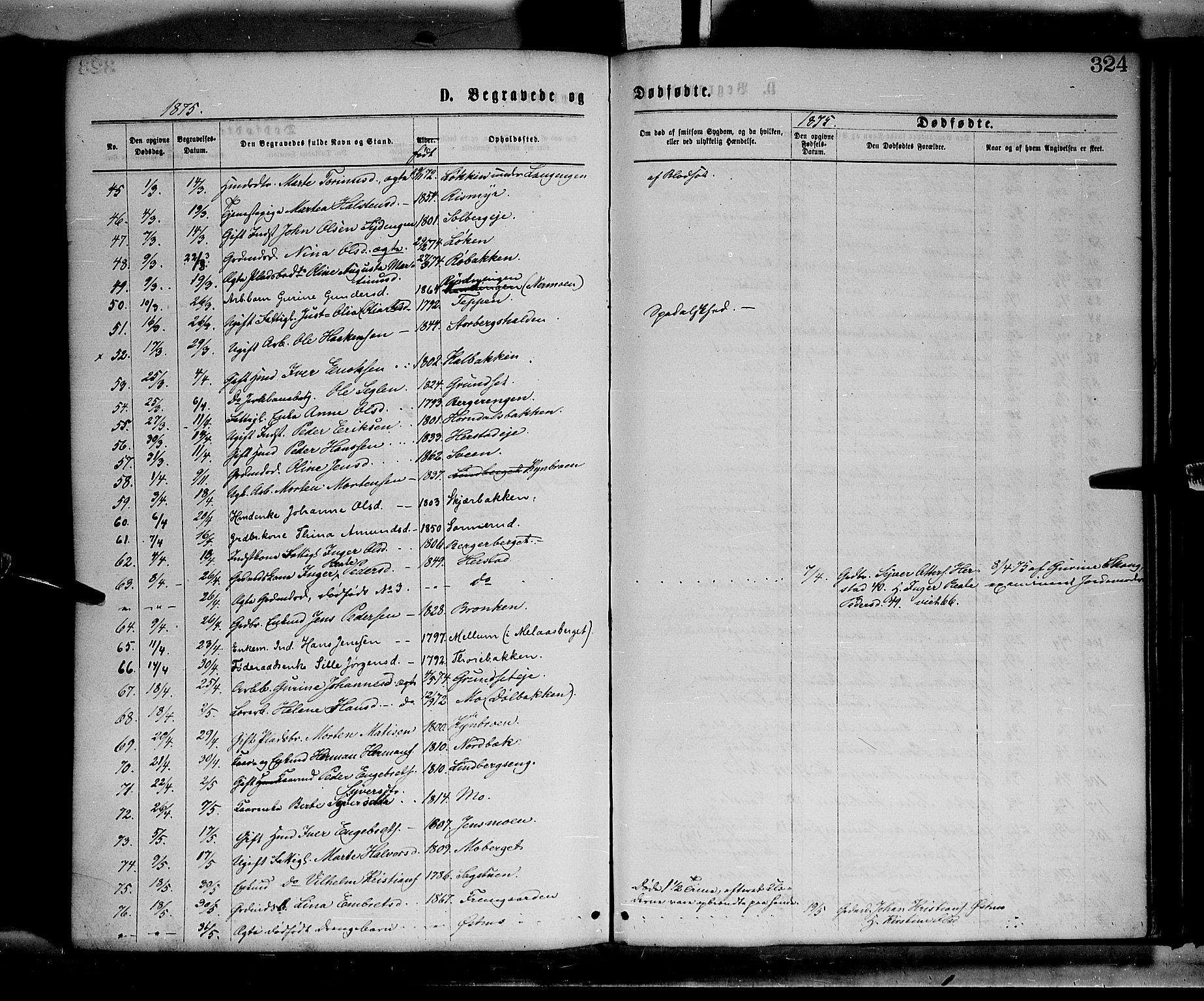 Elverum prestekontor, SAH/PREST-044/H/Ha/Haa/L0011: Parish register (official) no. 11, 1869-1879, p. 324