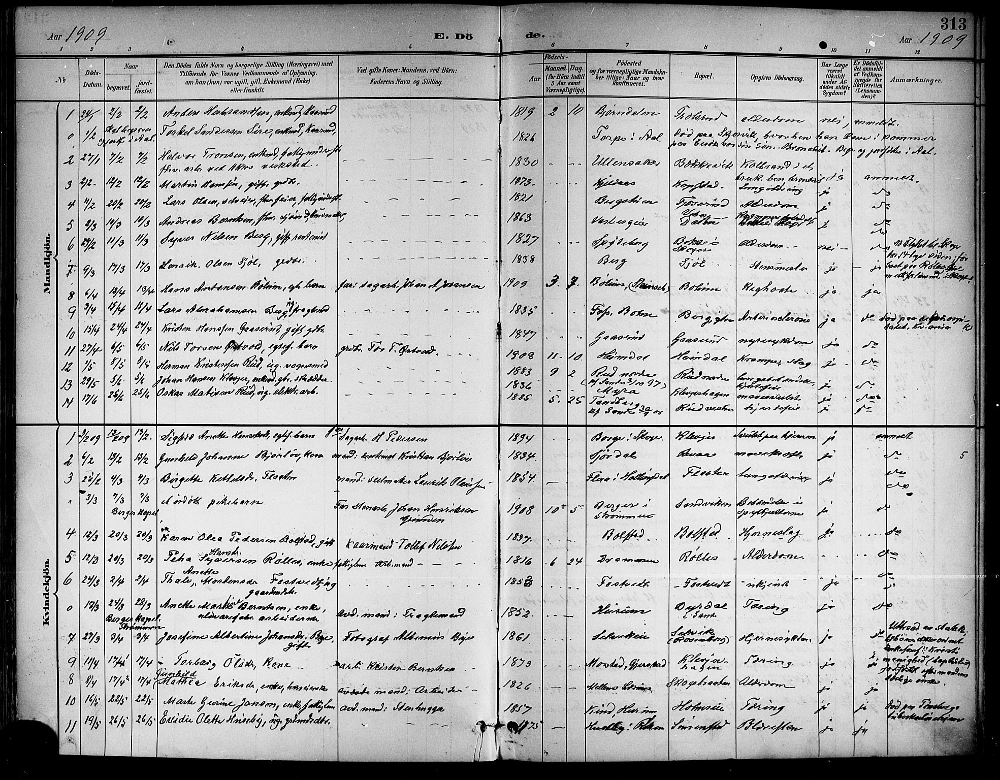 Sande Kirkebøker, AV/SAKO-A-53/G/Ga/L0004: Parish register (copy) no. 4, 1895-1918, p. 313