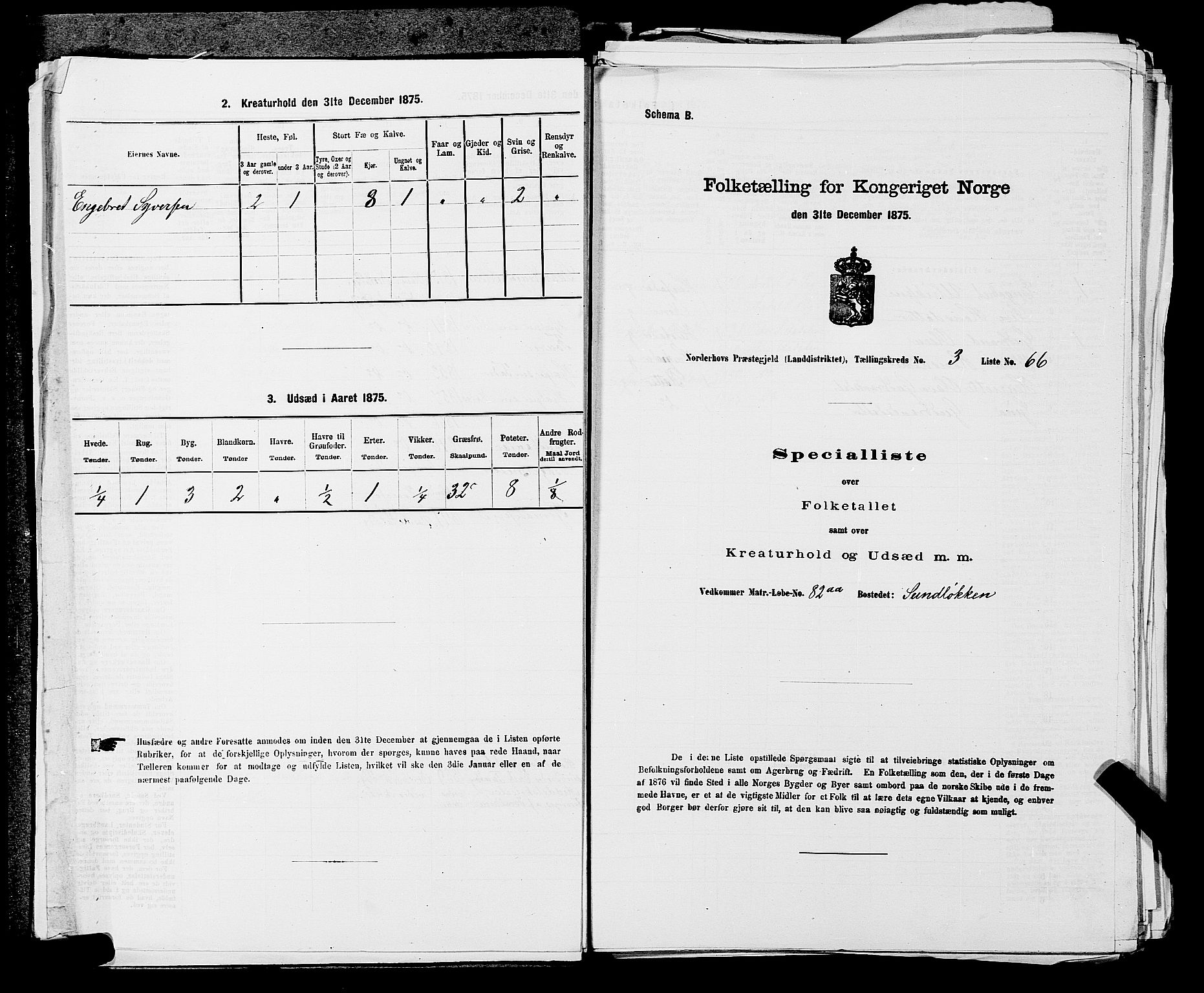 SAKO, 1875 census for 0613L Norderhov/Norderhov, Haug og Lunder, 1875, p. 522