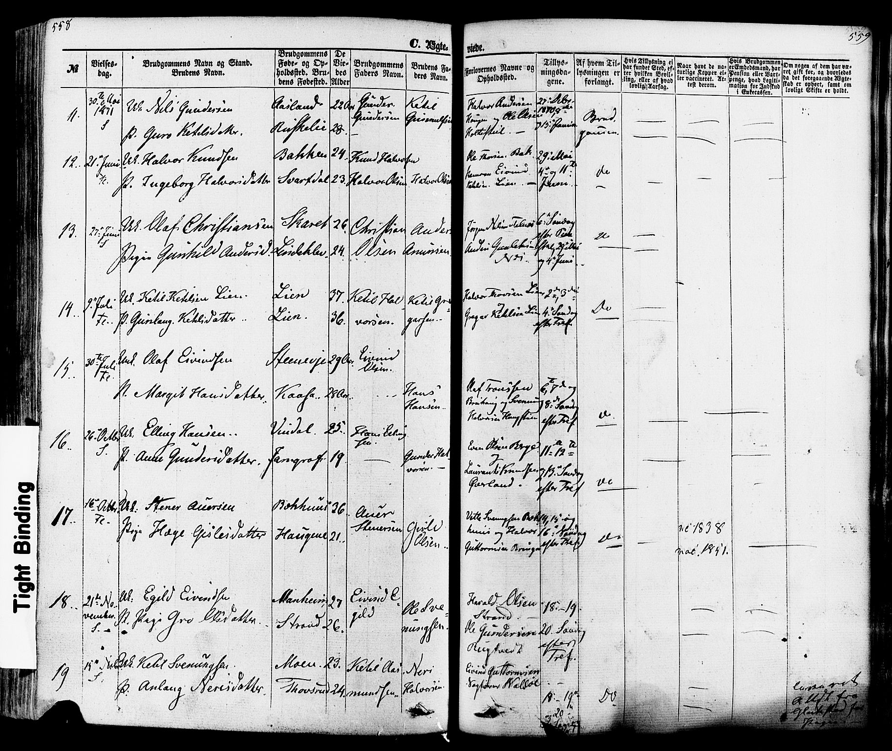 Seljord kirkebøker, SAKO/A-20/F/Fa/L0013: Parish register (official) no. I 13, 1866-1876, p. 558-559