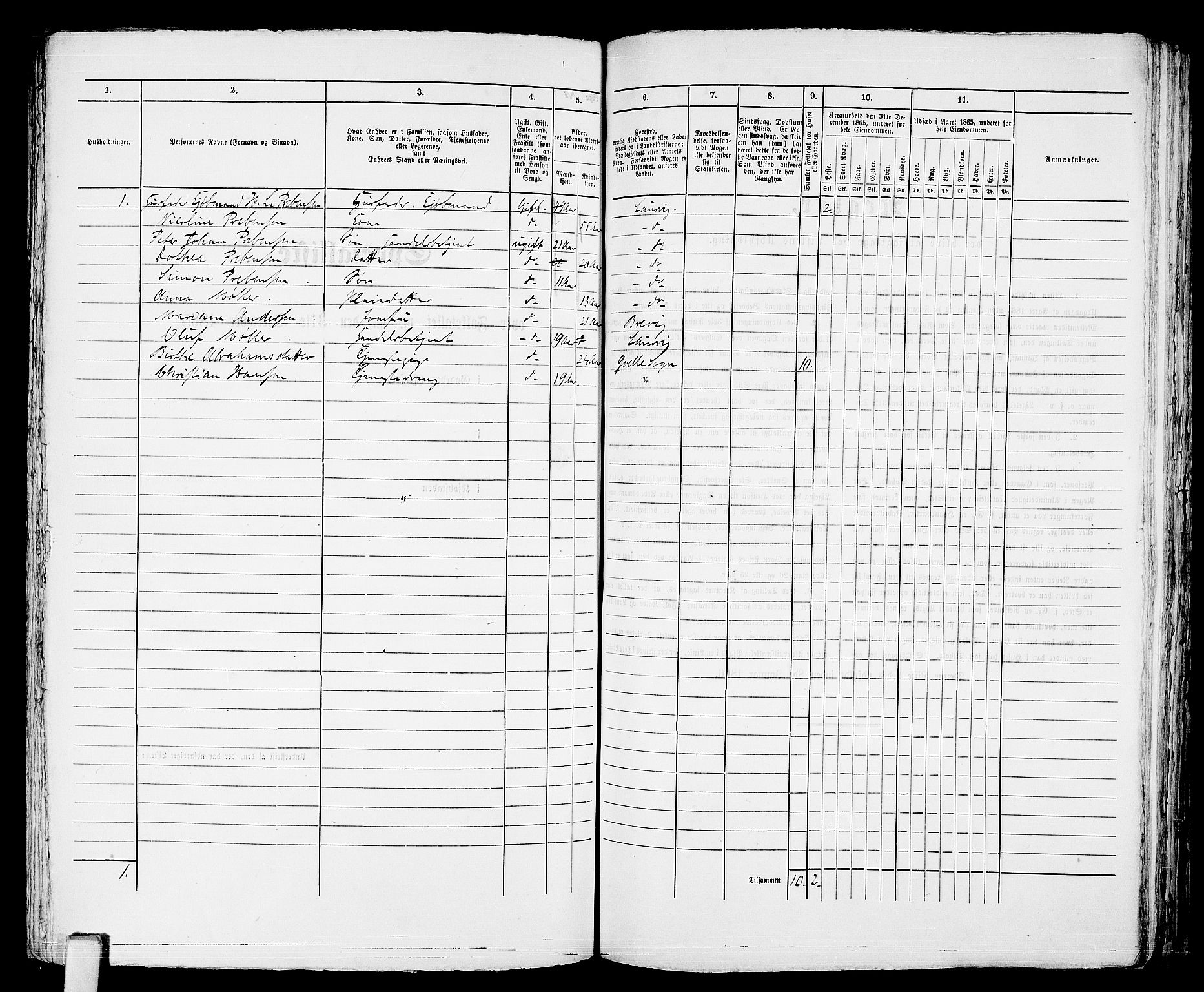 RA, 1865 census for Larvik, 1865, p. 400