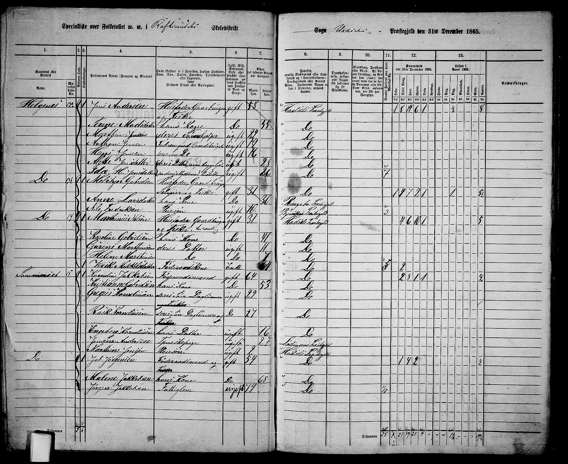 RA, 1865 census for Hadsel, 1865, p. 38