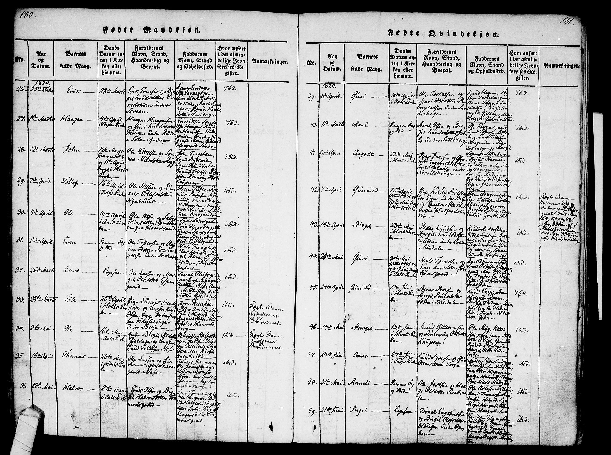 Ål kirkebøker, AV/SAKO-A-249/F/Fa/L0004: Parish register (official) no. I 4, 1815-1825, p. 180-181