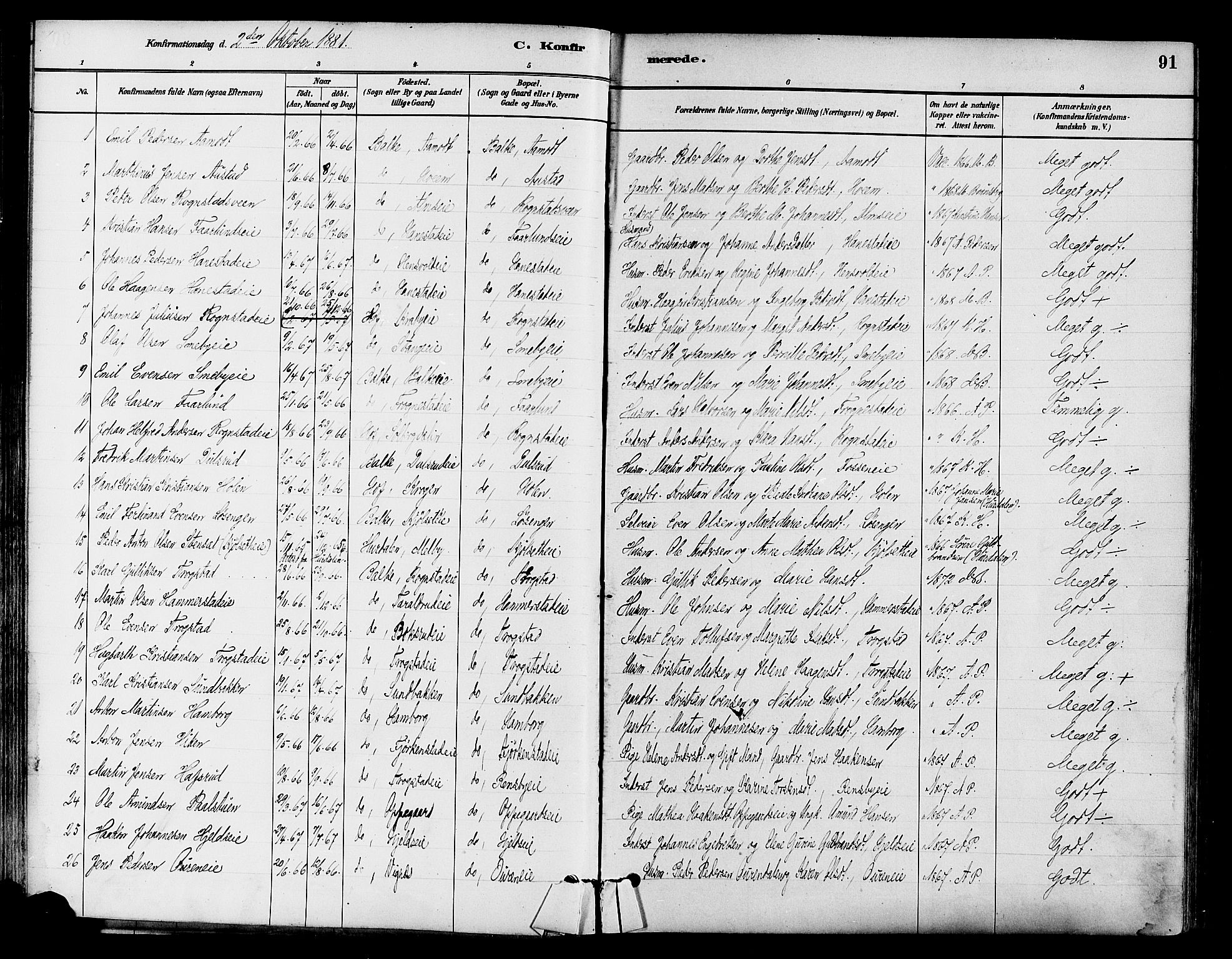 Østre Toten prestekontor, SAH/PREST-104/H/Ha/Haa/L0007: Parish register (official) no. 7, 1881-1896, p. 91