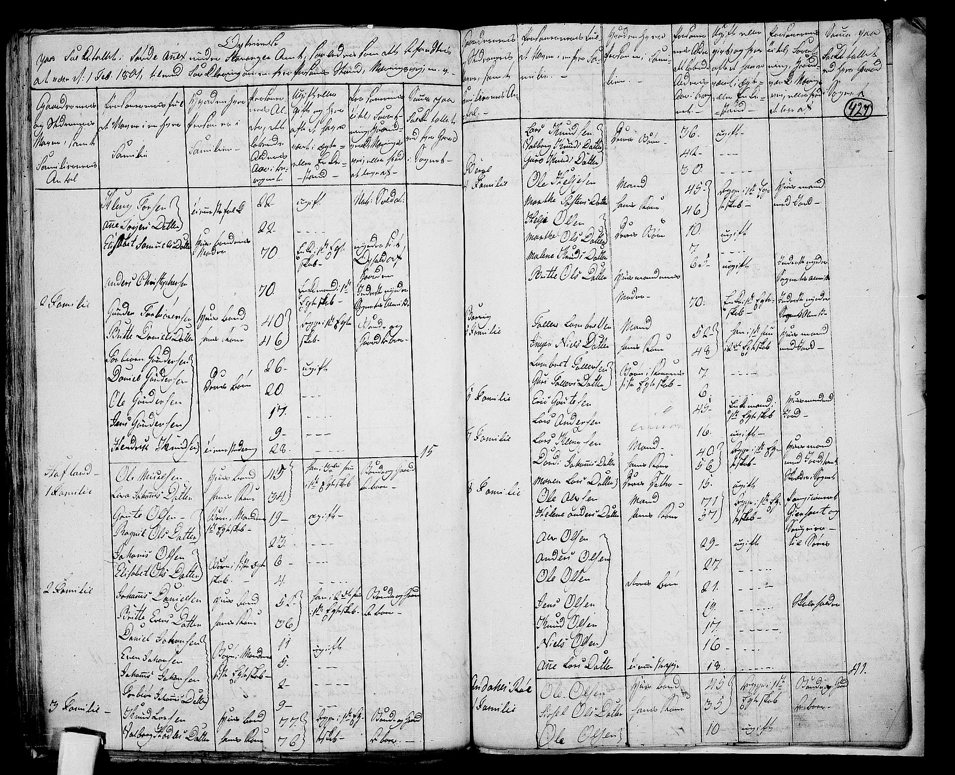 RA, 1801 census for 1134P Suldal, 1801, p. 426b-427a