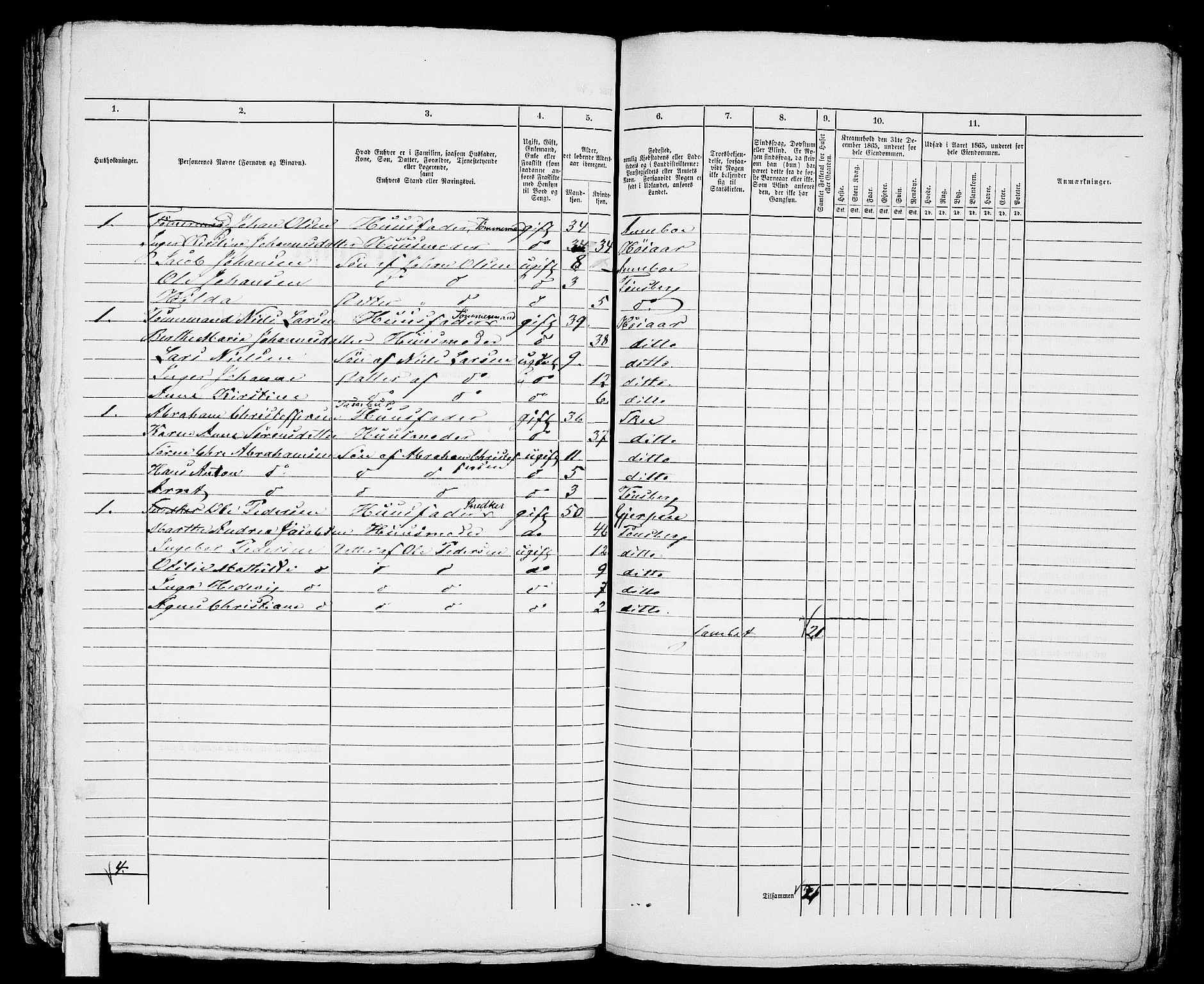 RA, 1865 census for Tønsberg, 1865, p. 315