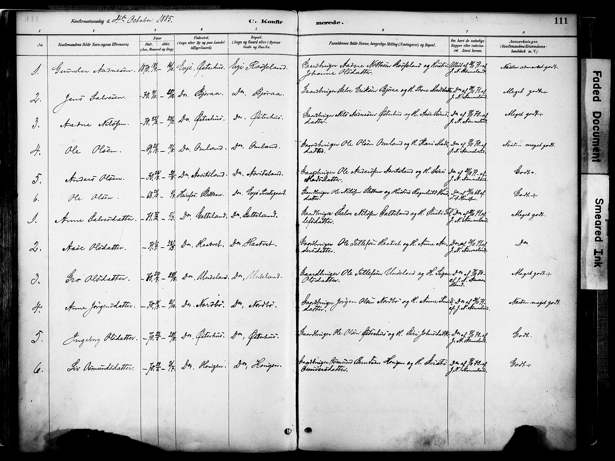 Evje sokneprestkontor, AV/SAK-1111-0008/F/Fa/Faa/L0007: Parish register (official) no. A 7, 1884-1909, p. 111