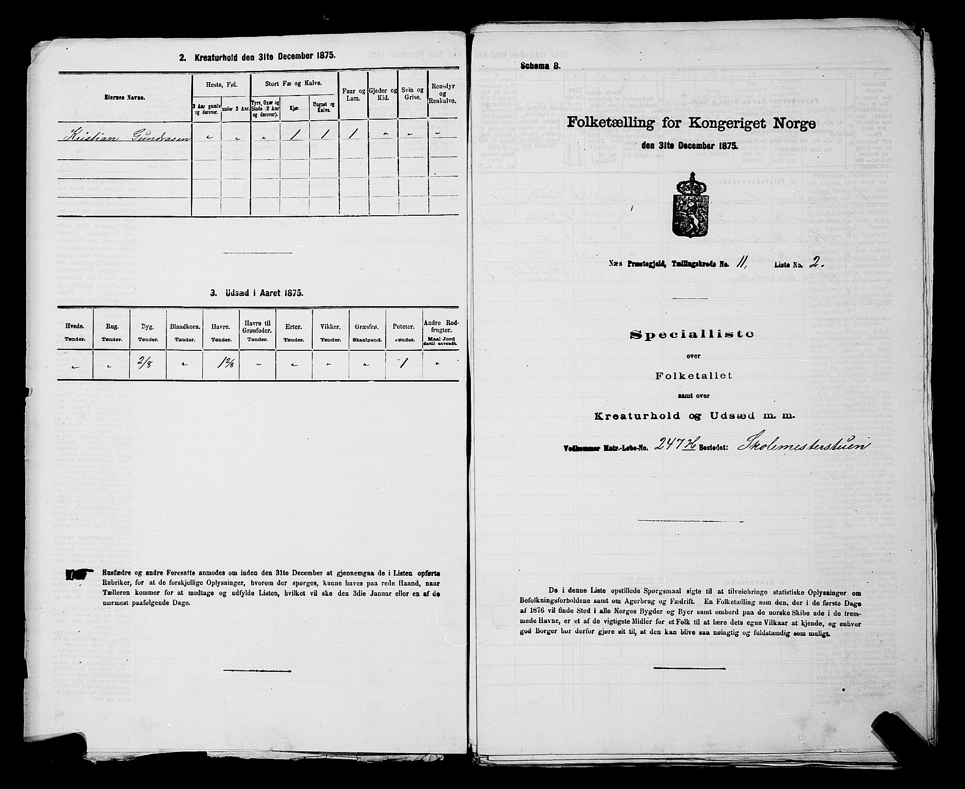 RA, 1875 census for 0236P Nes, 1875, p. 1890