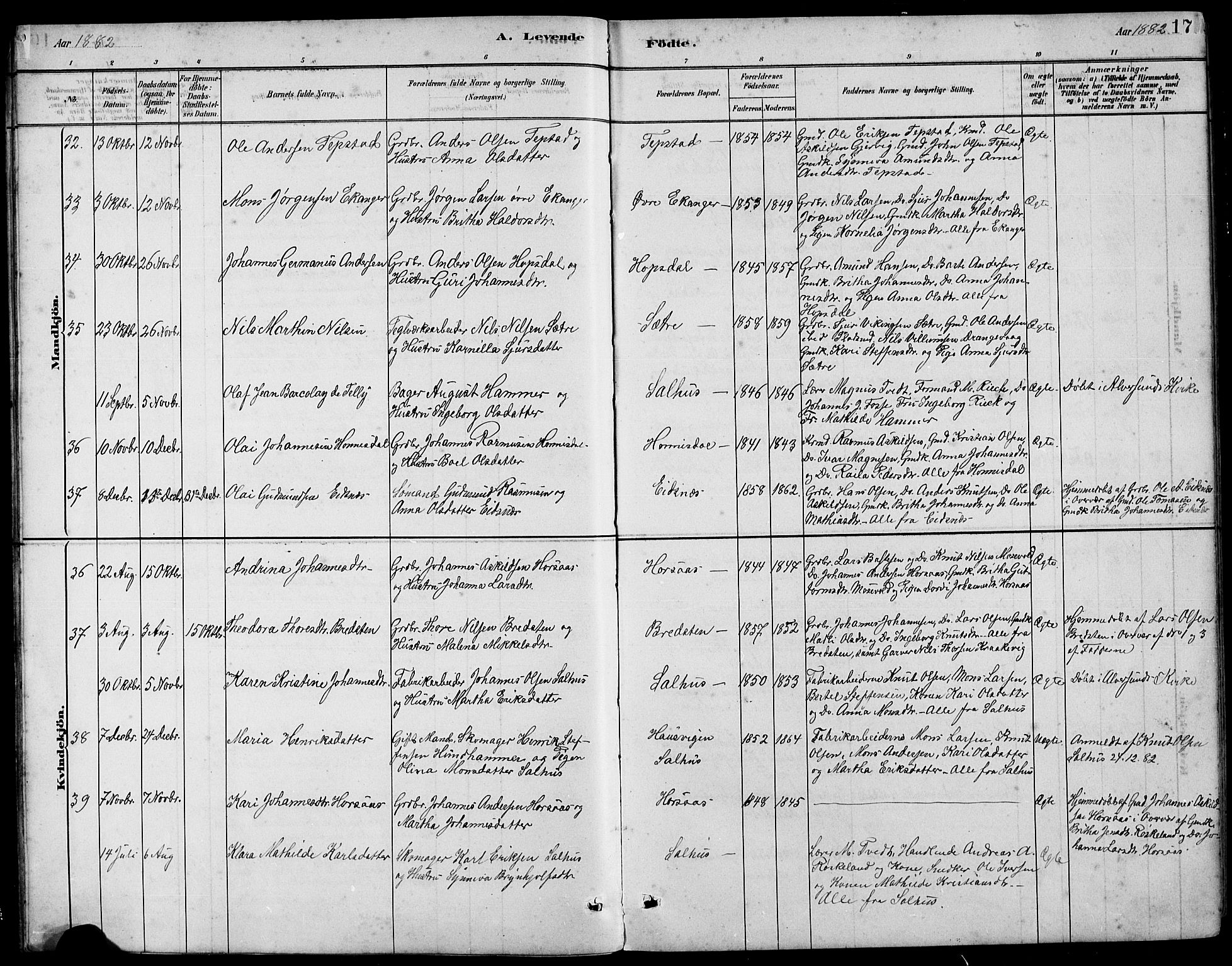Hamre sokneprestembete, SAB/A-75501/H/Ha/Hab: Parish register (copy) no. B 3, 1881-1898, p. 17