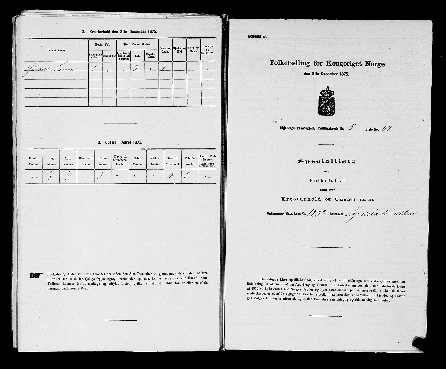 RA, 1875 census for 0115P Skjeberg, 1875, p. 1004