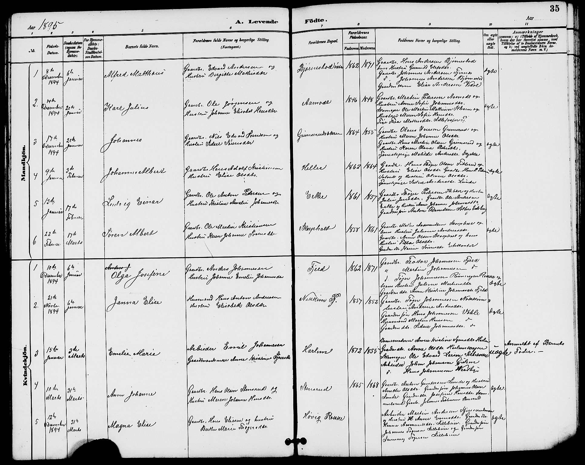 Rakkestad prestekontor Kirkebøker, AV/SAO-A-2008/G/Gb/L0001: Parish register (copy) no. II 1, 1887-1909, p. 35