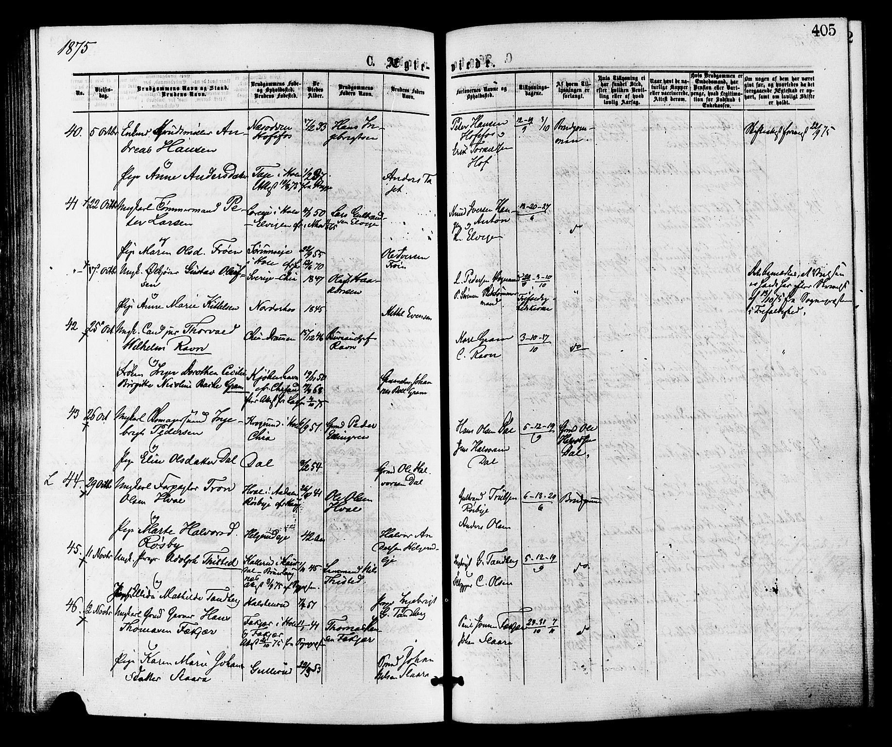 Norderhov kirkebøker, AV/SAKO-A-237/F/Fa/L0015: Parish register (official) no. 15, 1875-1884, p. 405