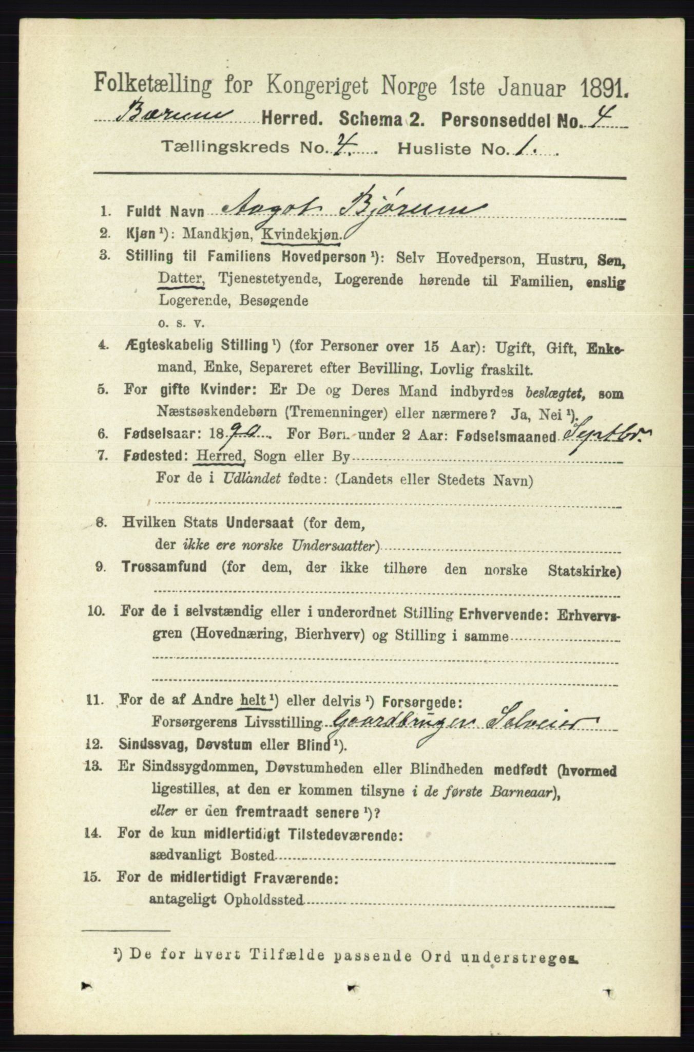 RA, 1891 census for 0219 Bærum, 1891, p. 2489